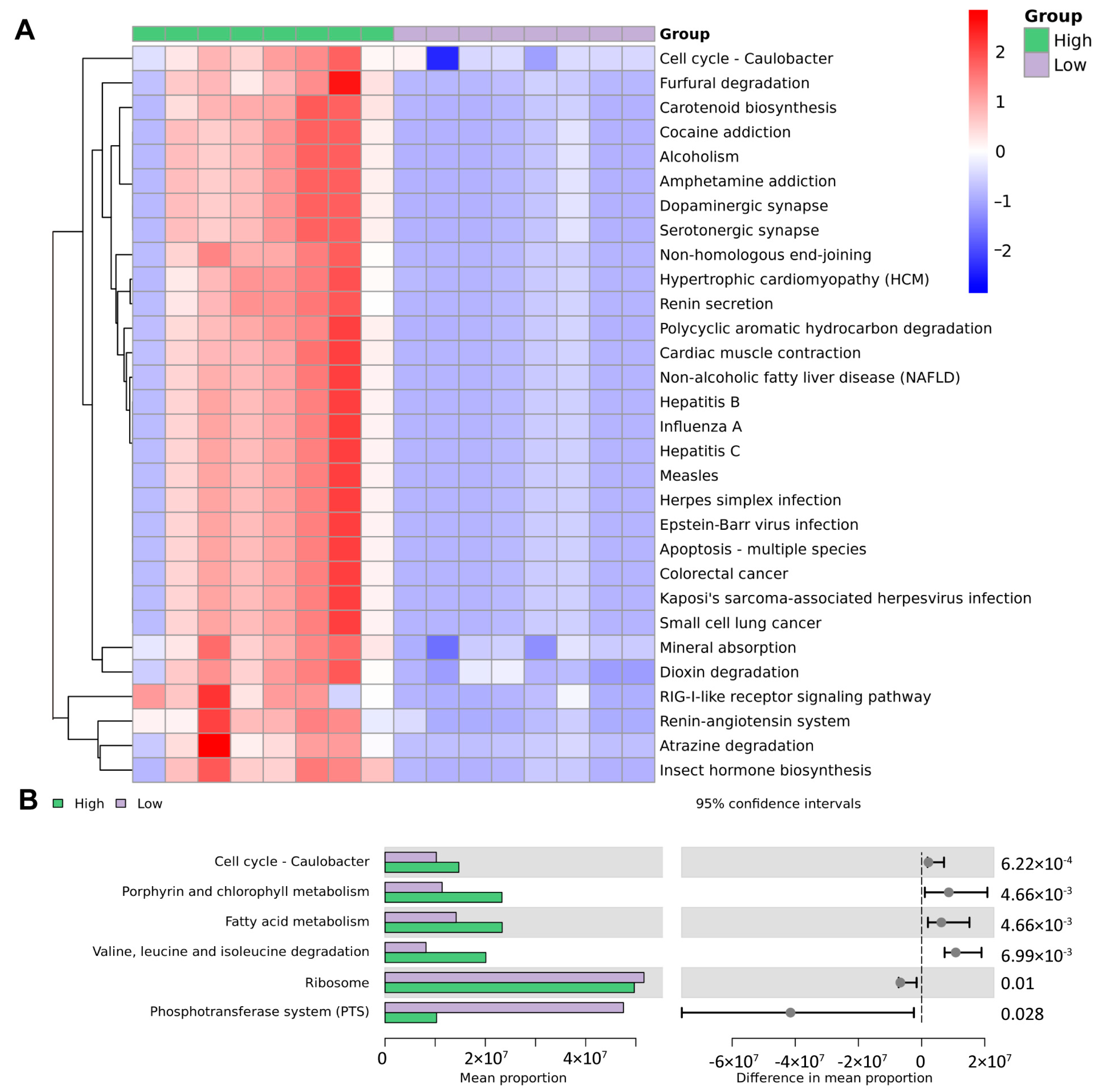 Biomedicines 13 01197 g006