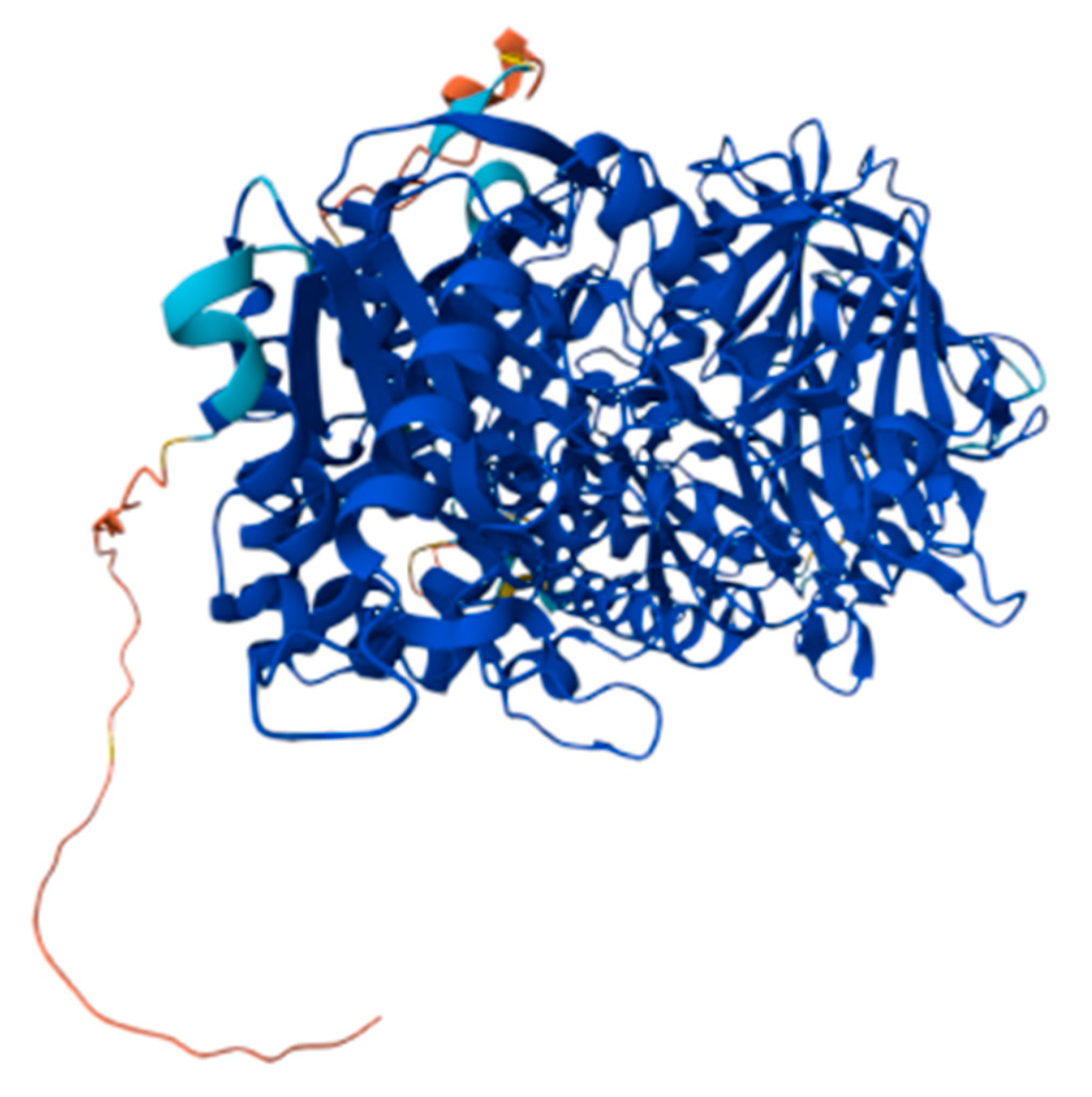 Biomedicines 13 01199 g002