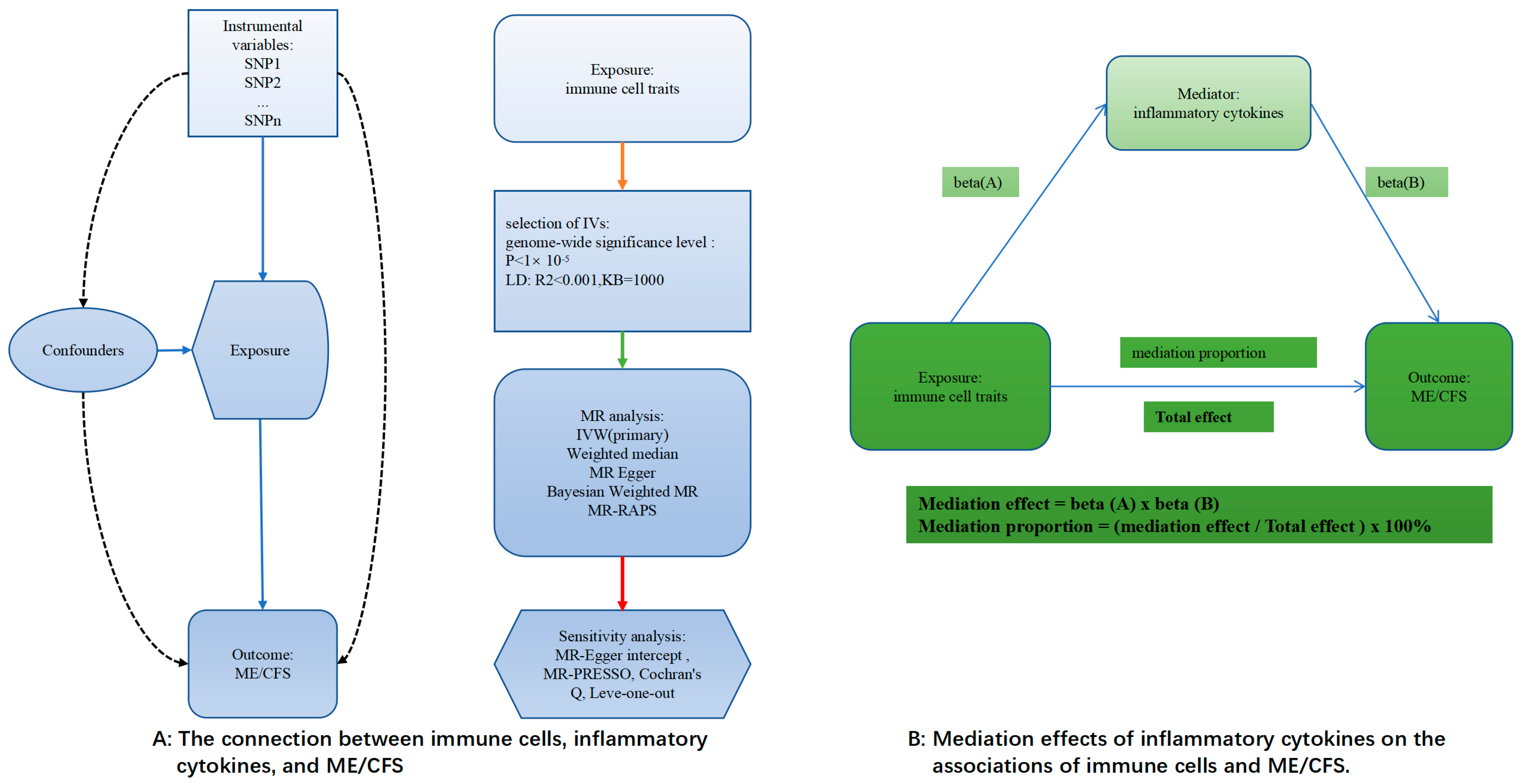 Biomedicines 13 01200 g001