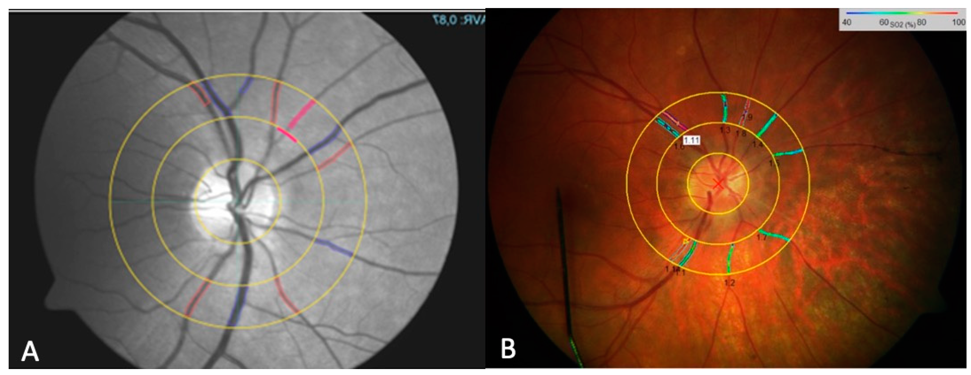 Biomedicines 13 01201 g001