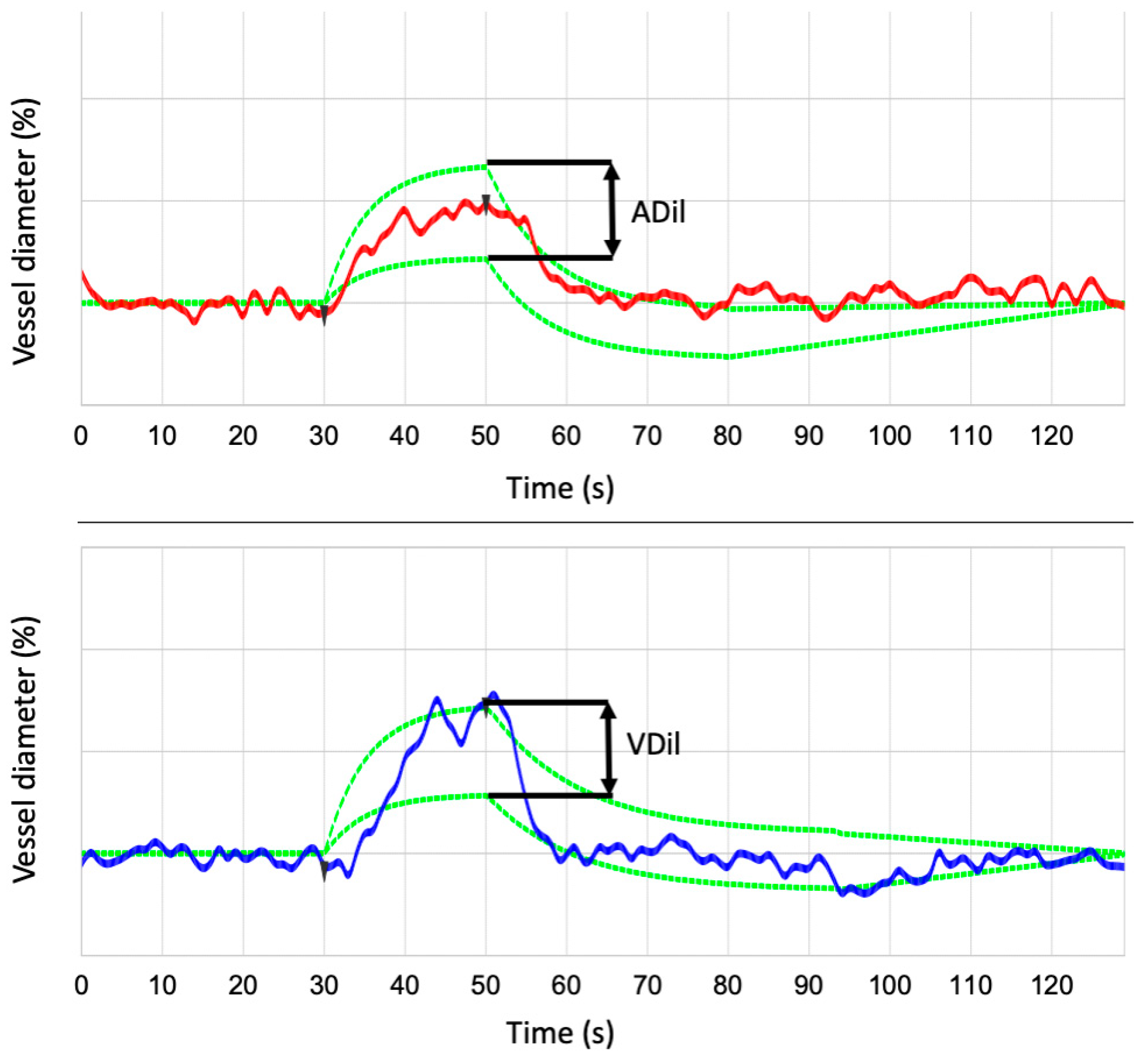 Biomedicines 13 01201 g002