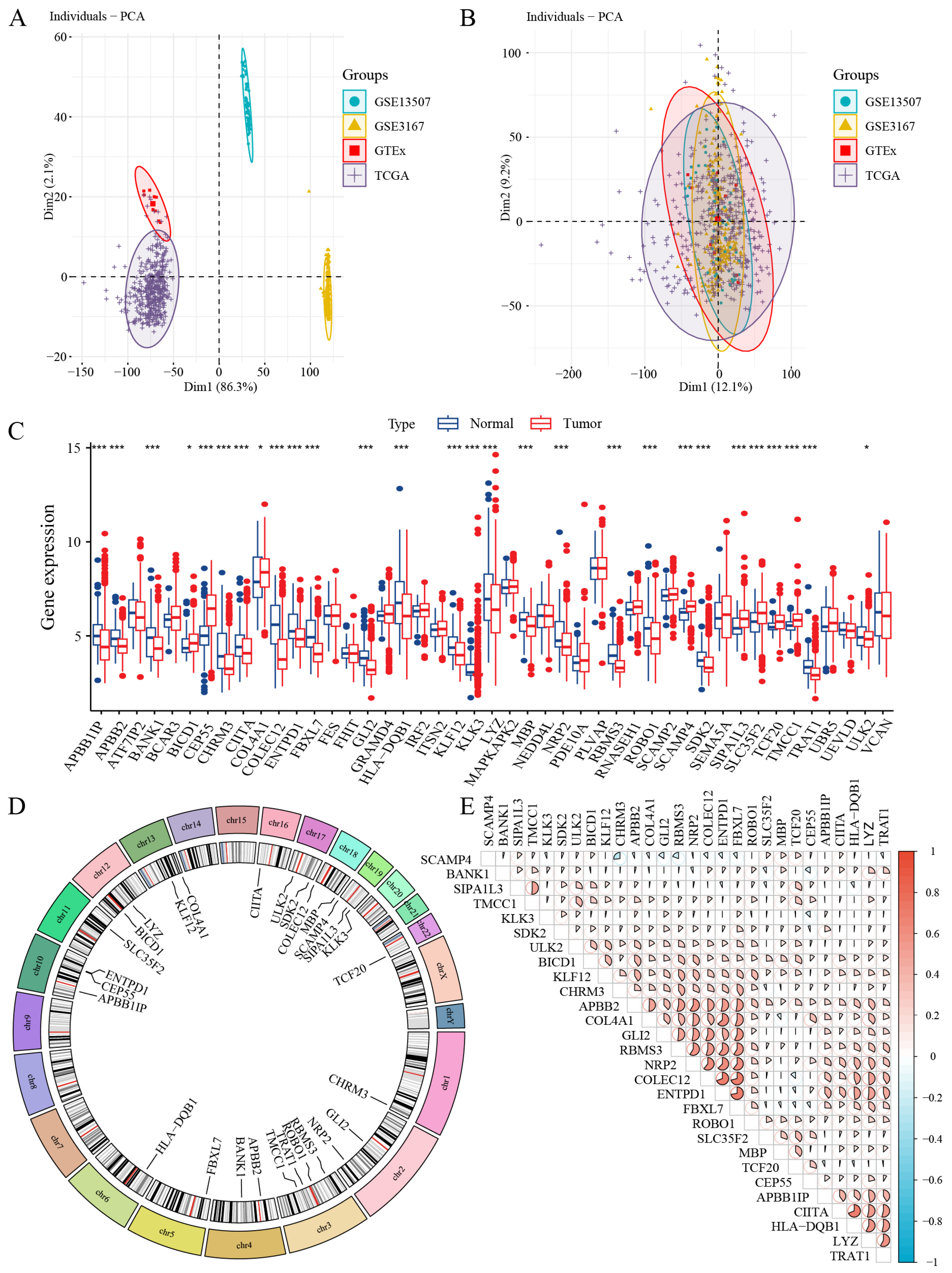 Biomedicines 13 01203 g004
