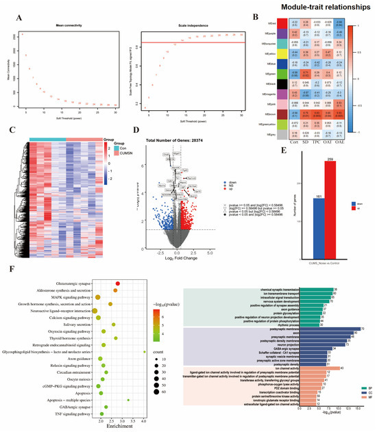 Biomedicines 13 01205 g003