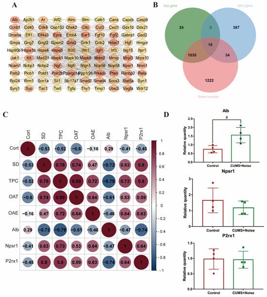 Biomedicines 13 01205 g004