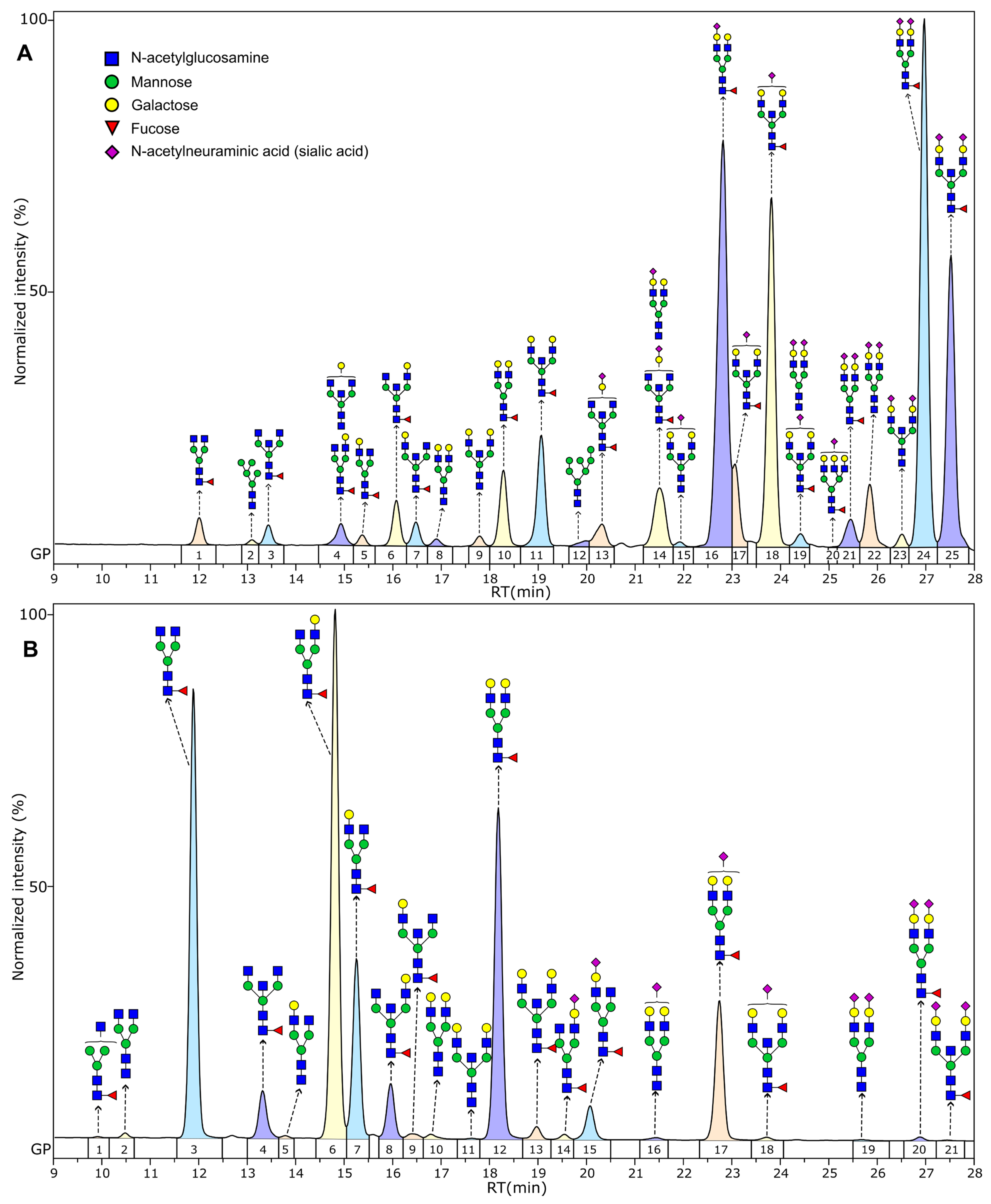 Biomedicines 13 01206 g001