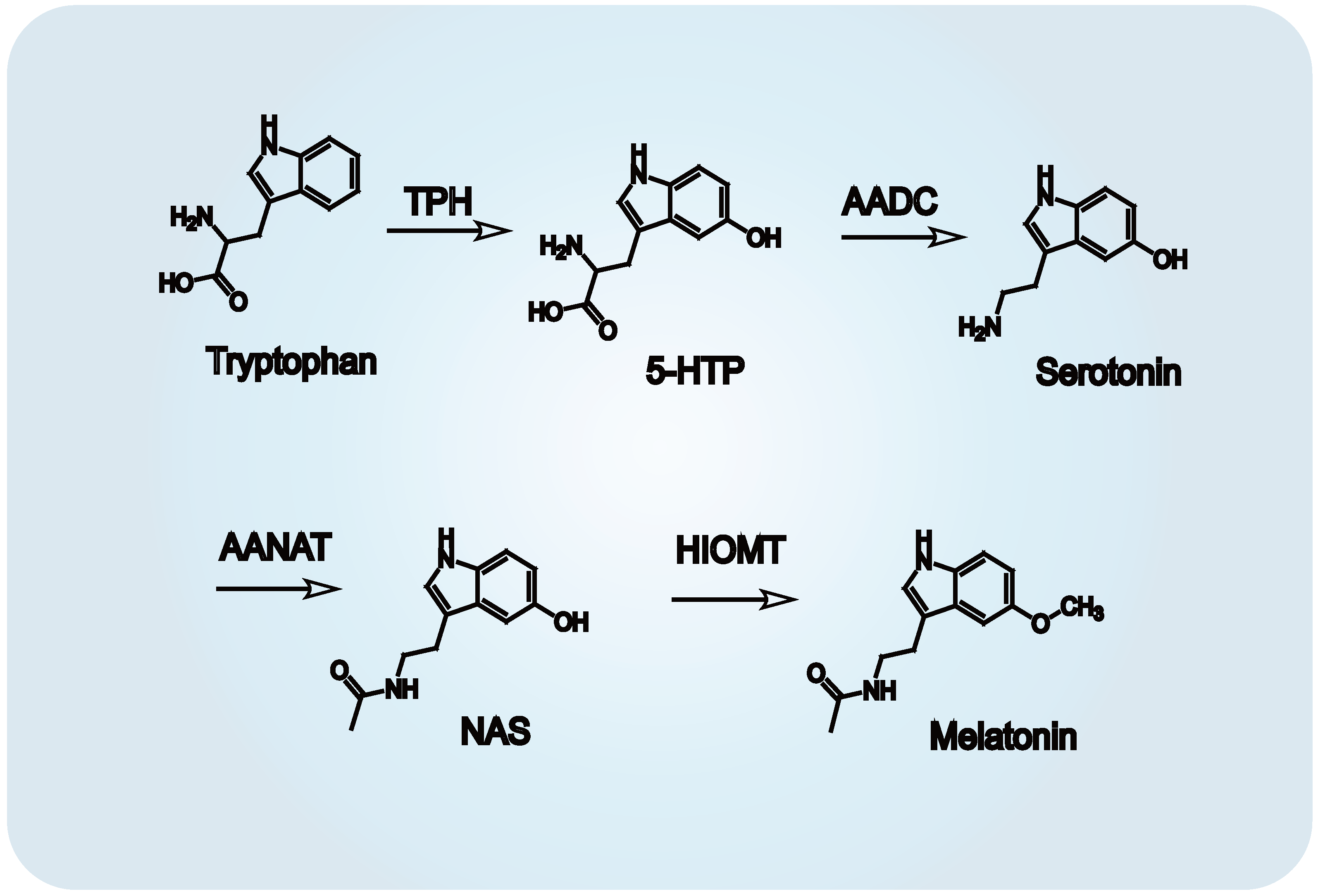 Biomedicines 13 01213 g002