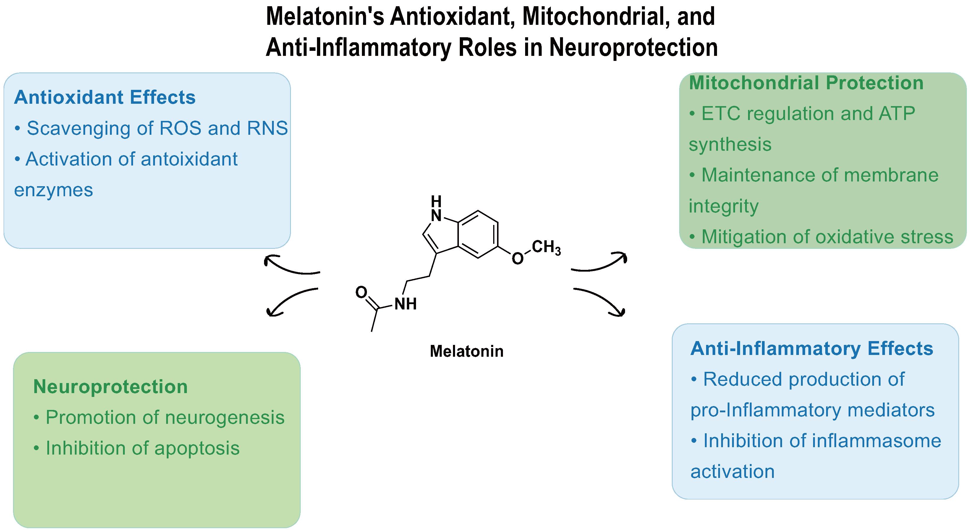 Biomedicines 13 01213 g003