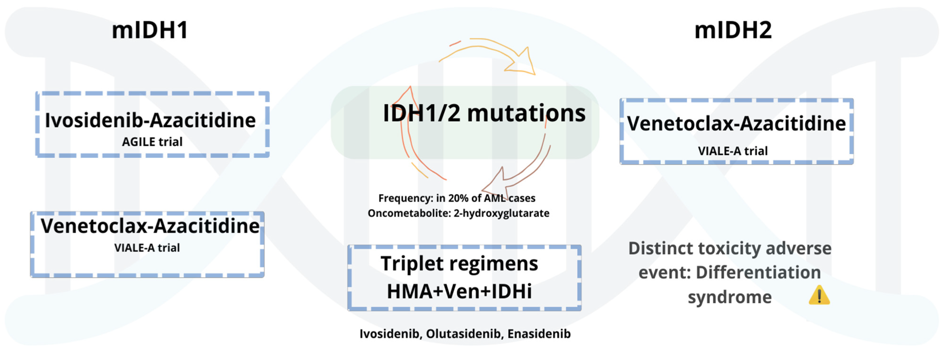 Biomedicines 13 01221 g001