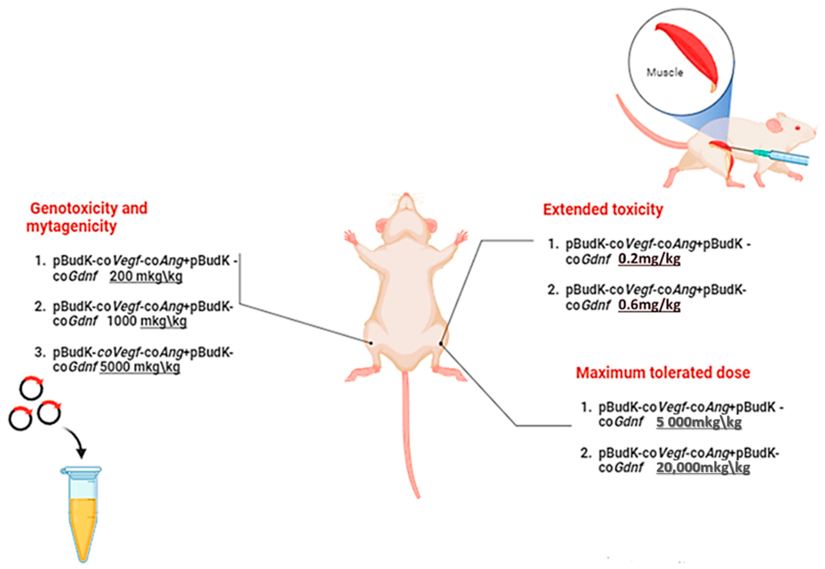 Biomedicines 13 01223 g001