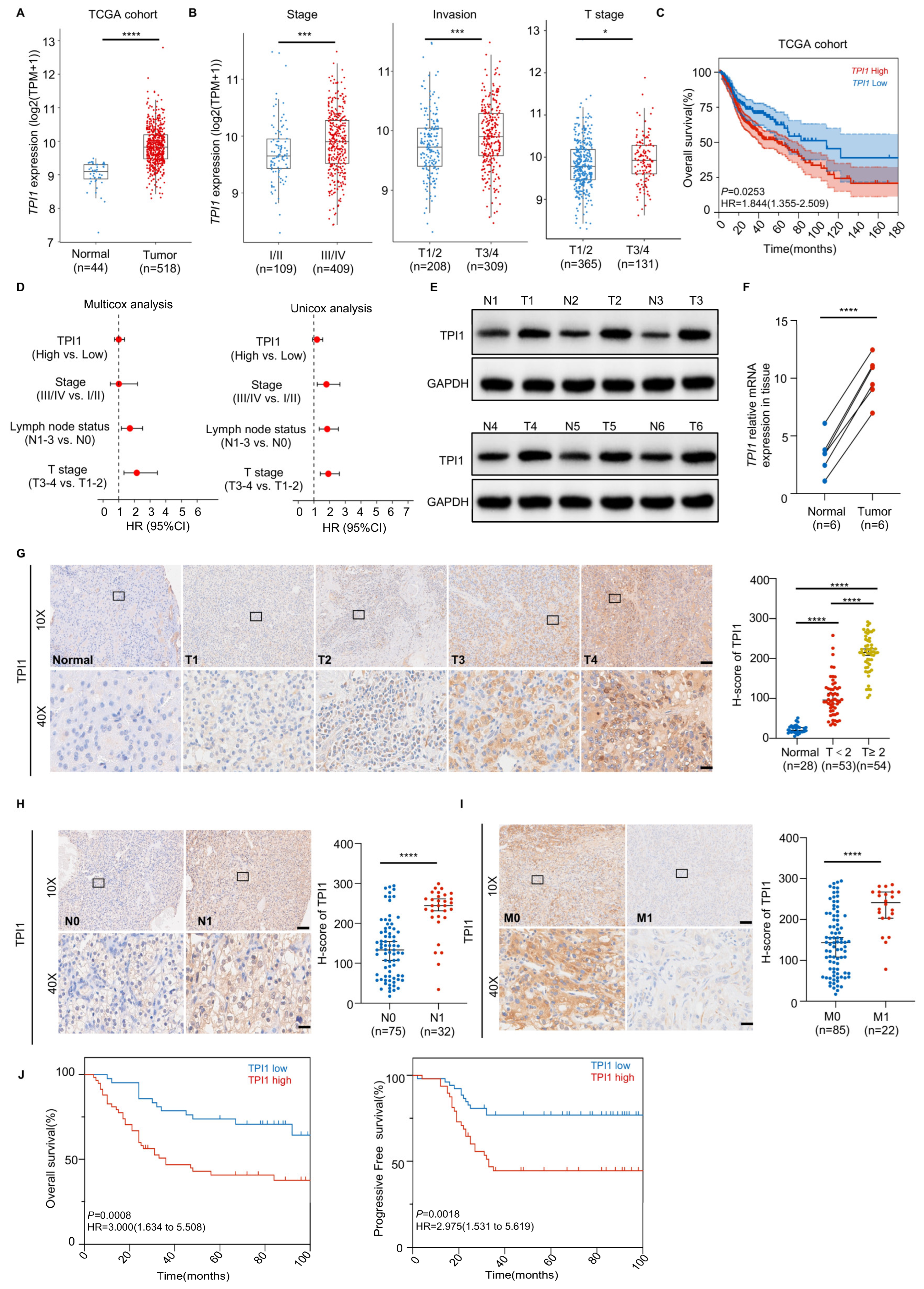 Biomedicines 13 01225 g001