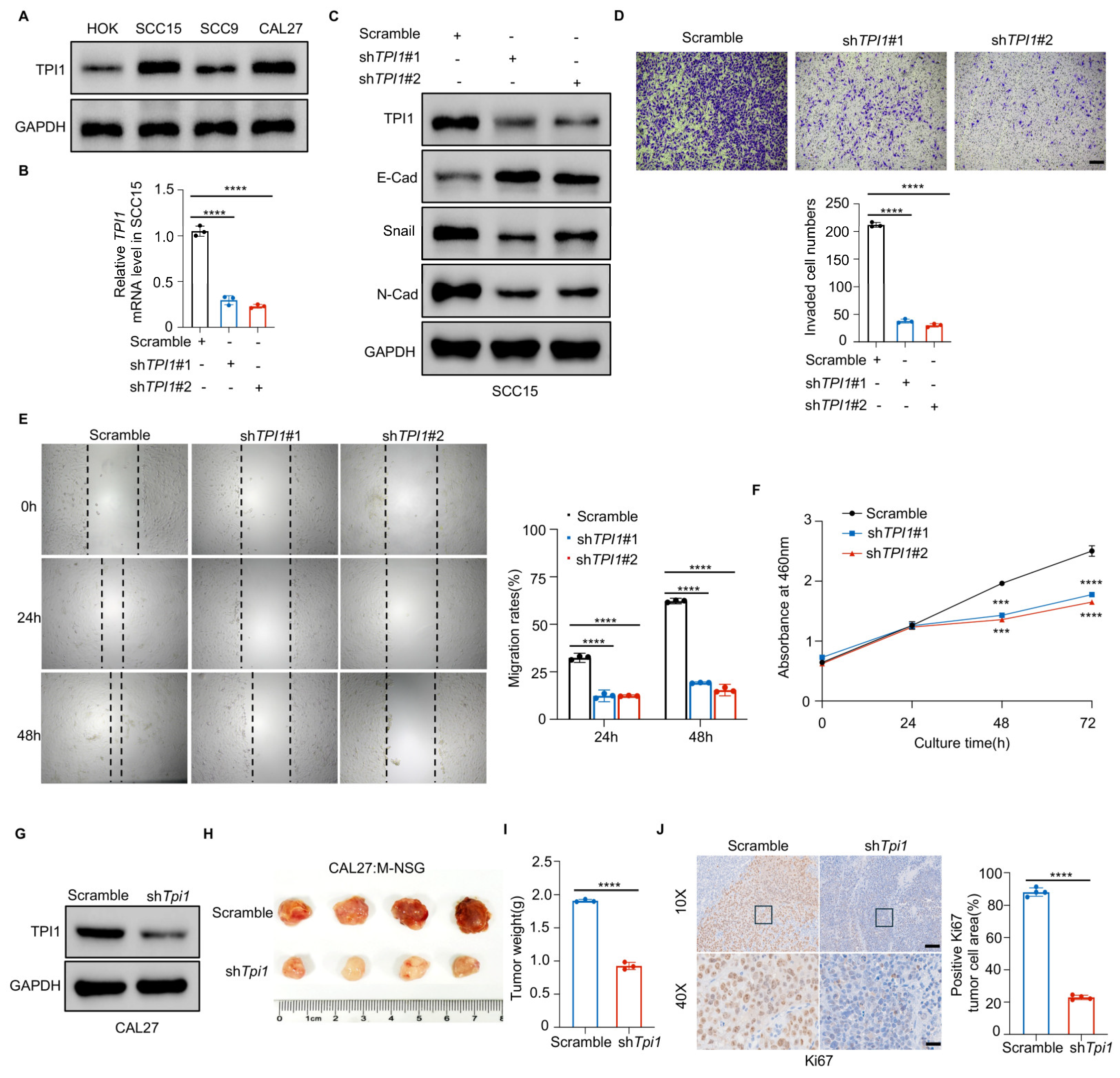 Biomedicines 13 01225 g002