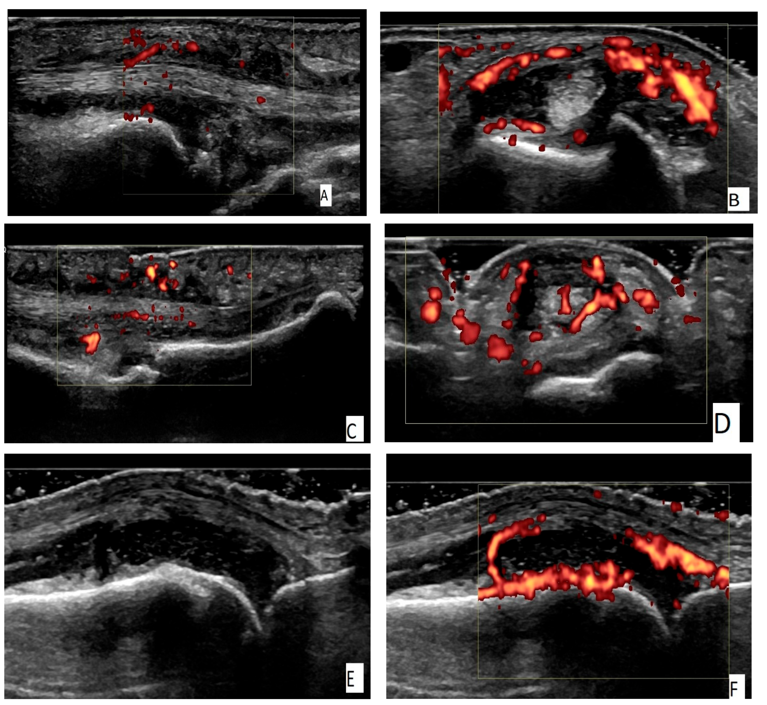 Biomedicines 13 01226 g001a
