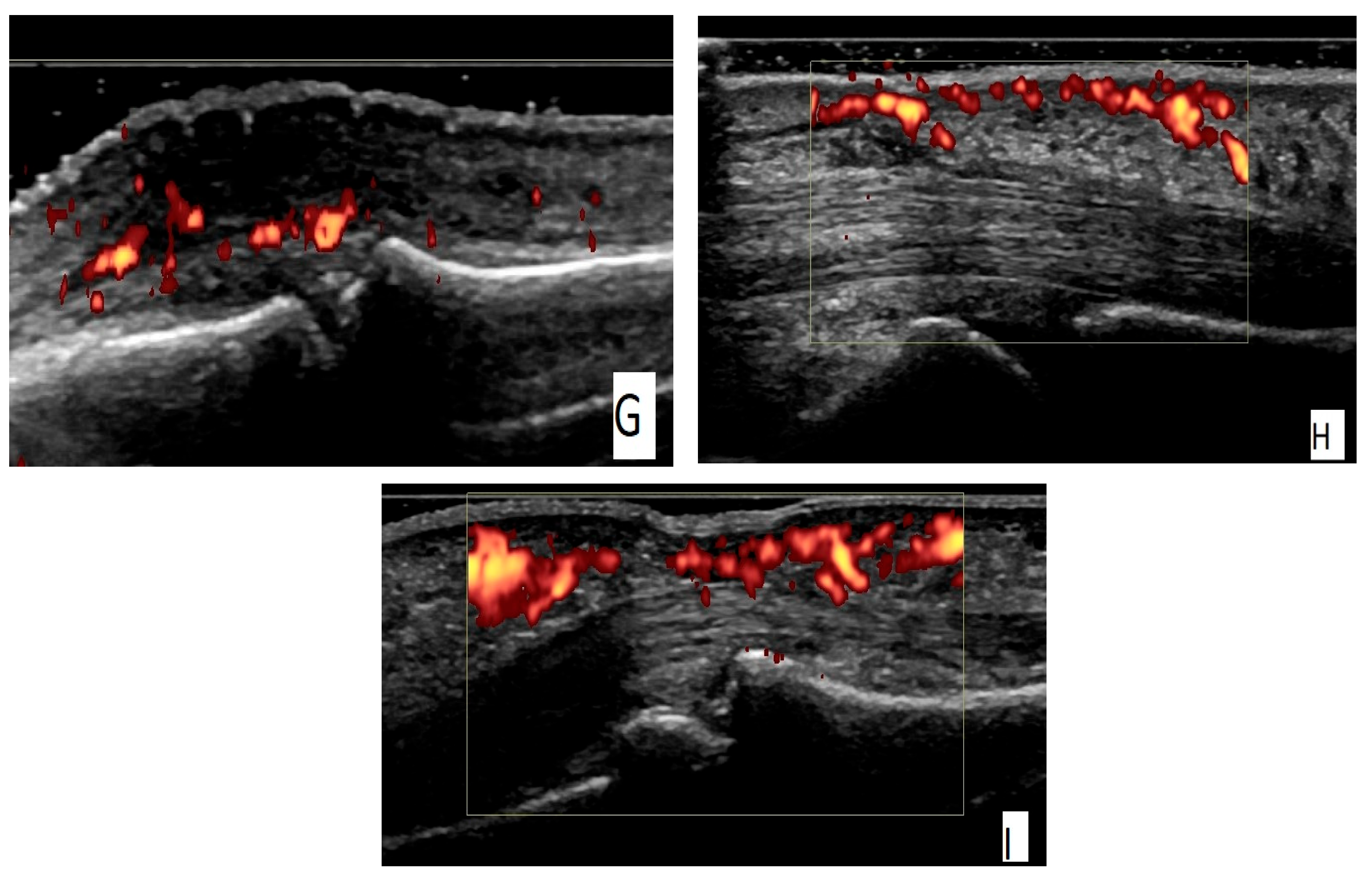 Biomedicines 13 01226 g001b