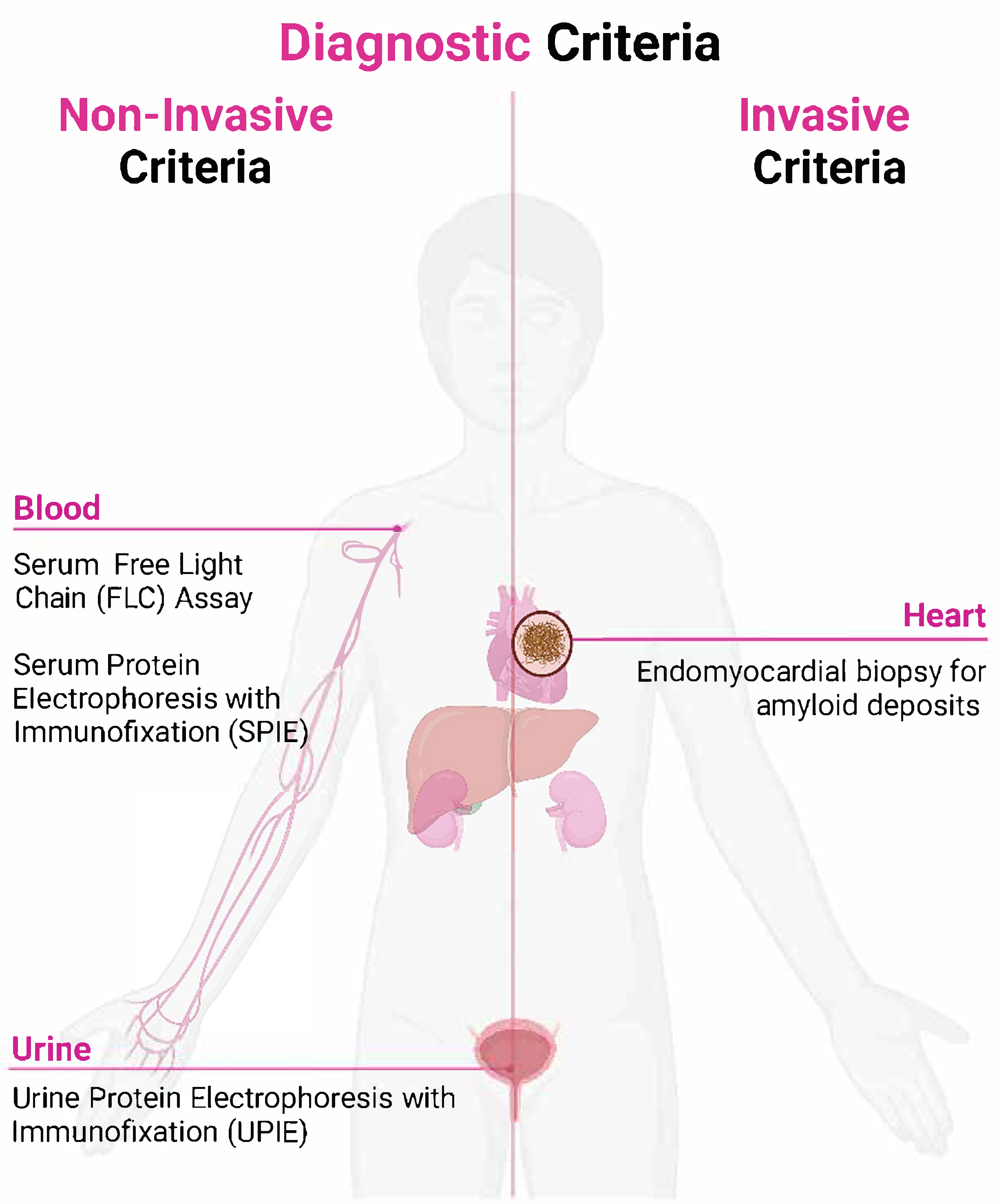 Biomedicines 13 01230 g001