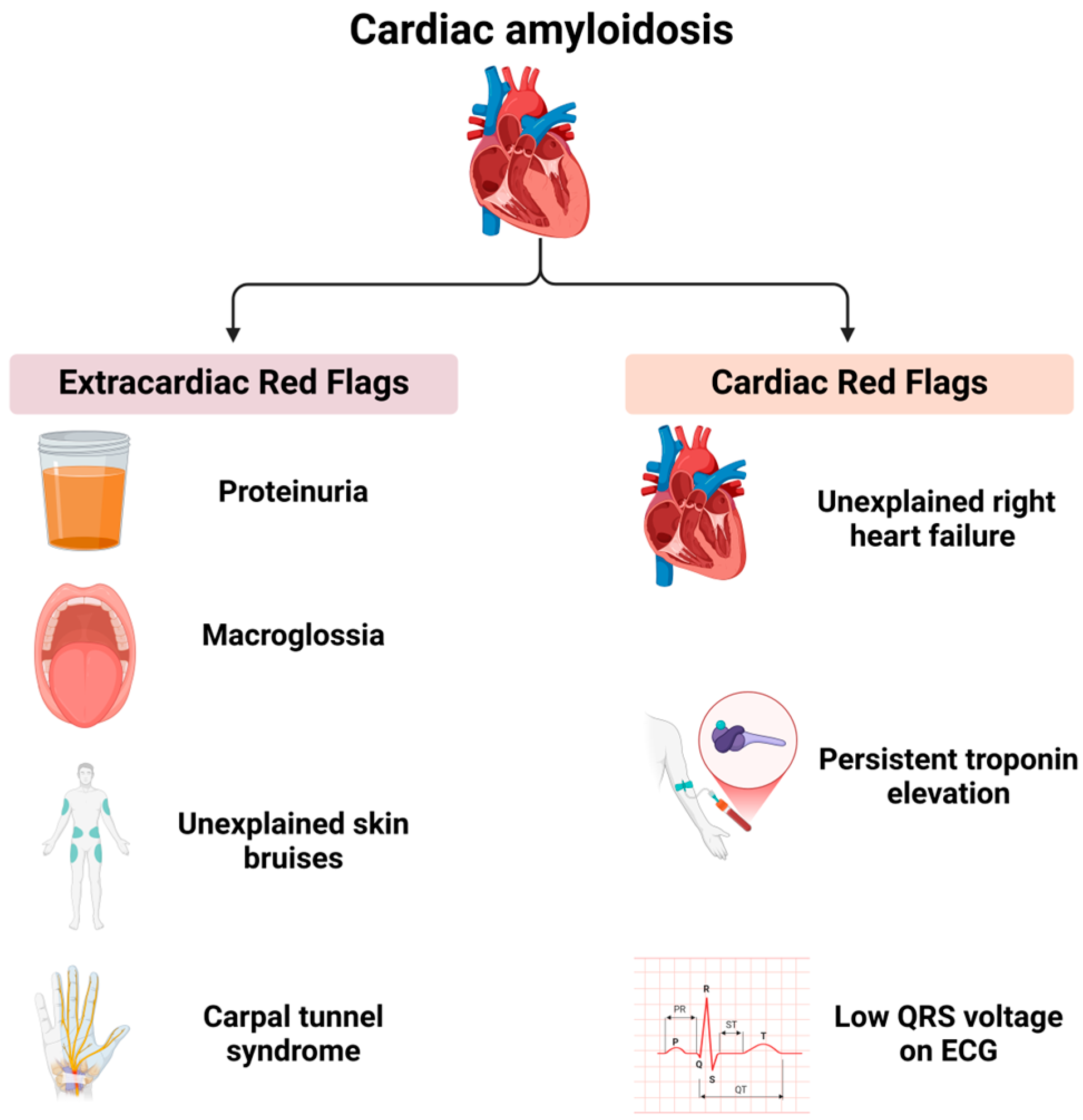 Biomedicines 13 01230 g002
