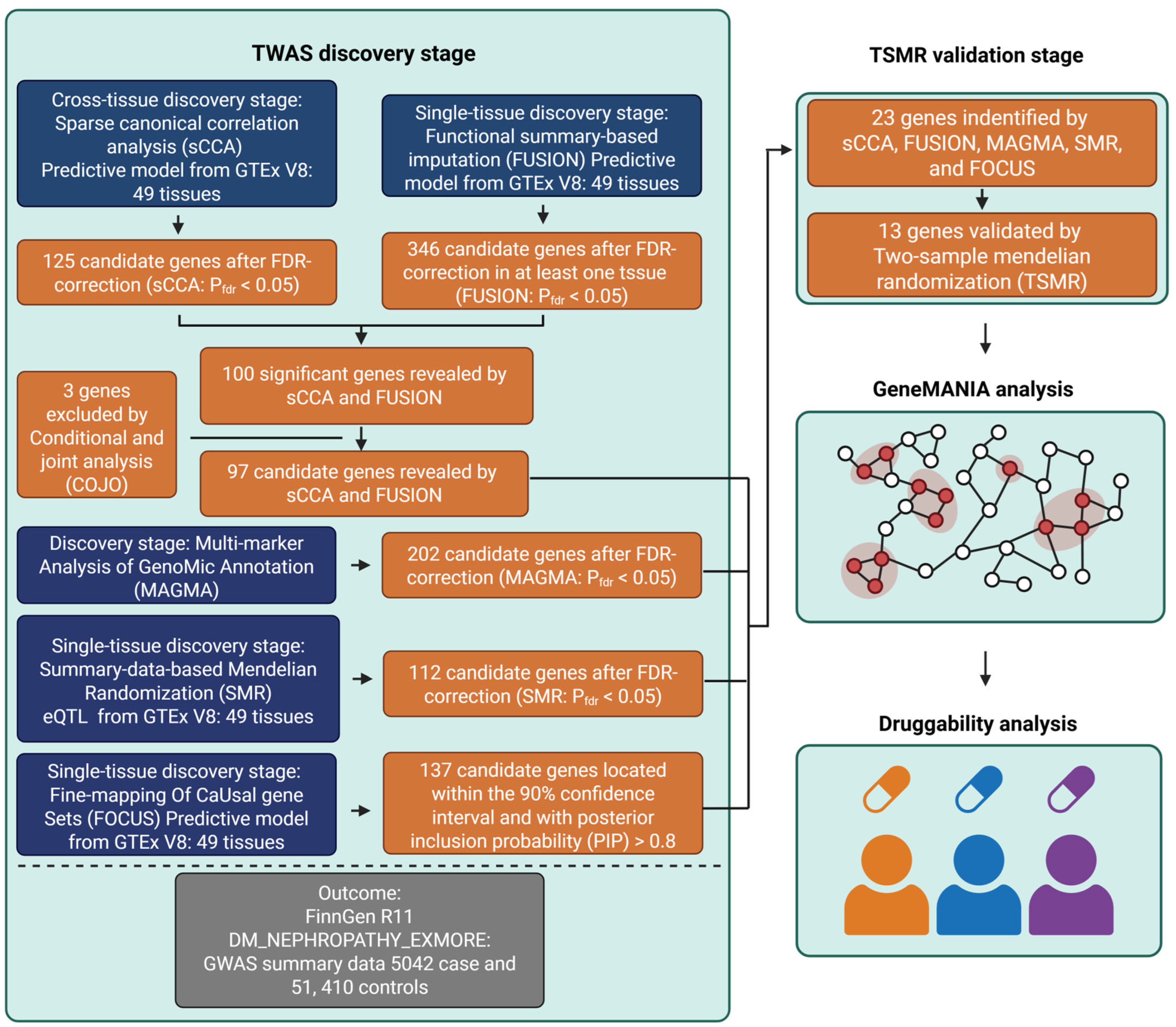 Biomedicines 13 01231 g001