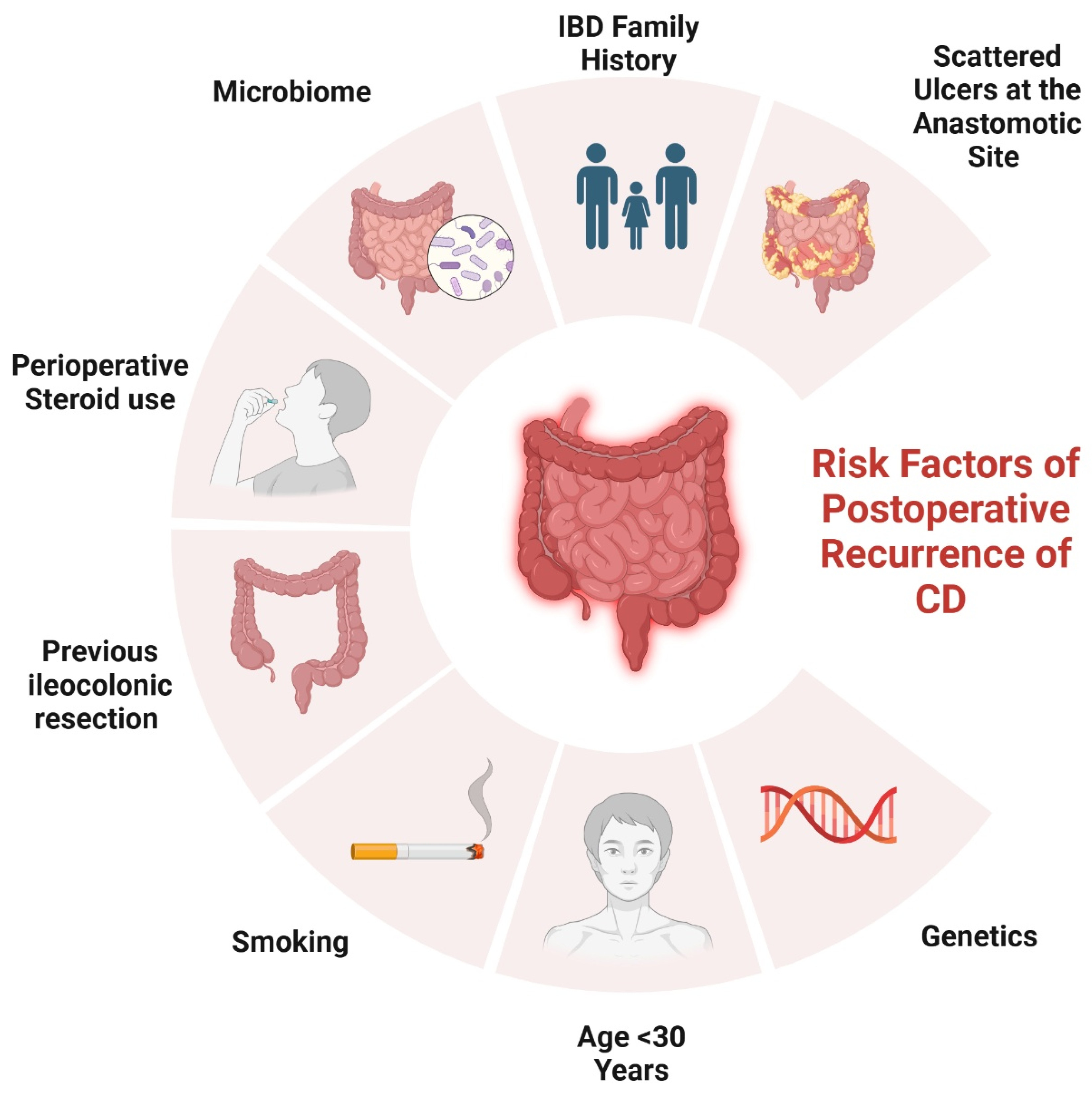 Biomedicines 13 01232 g001