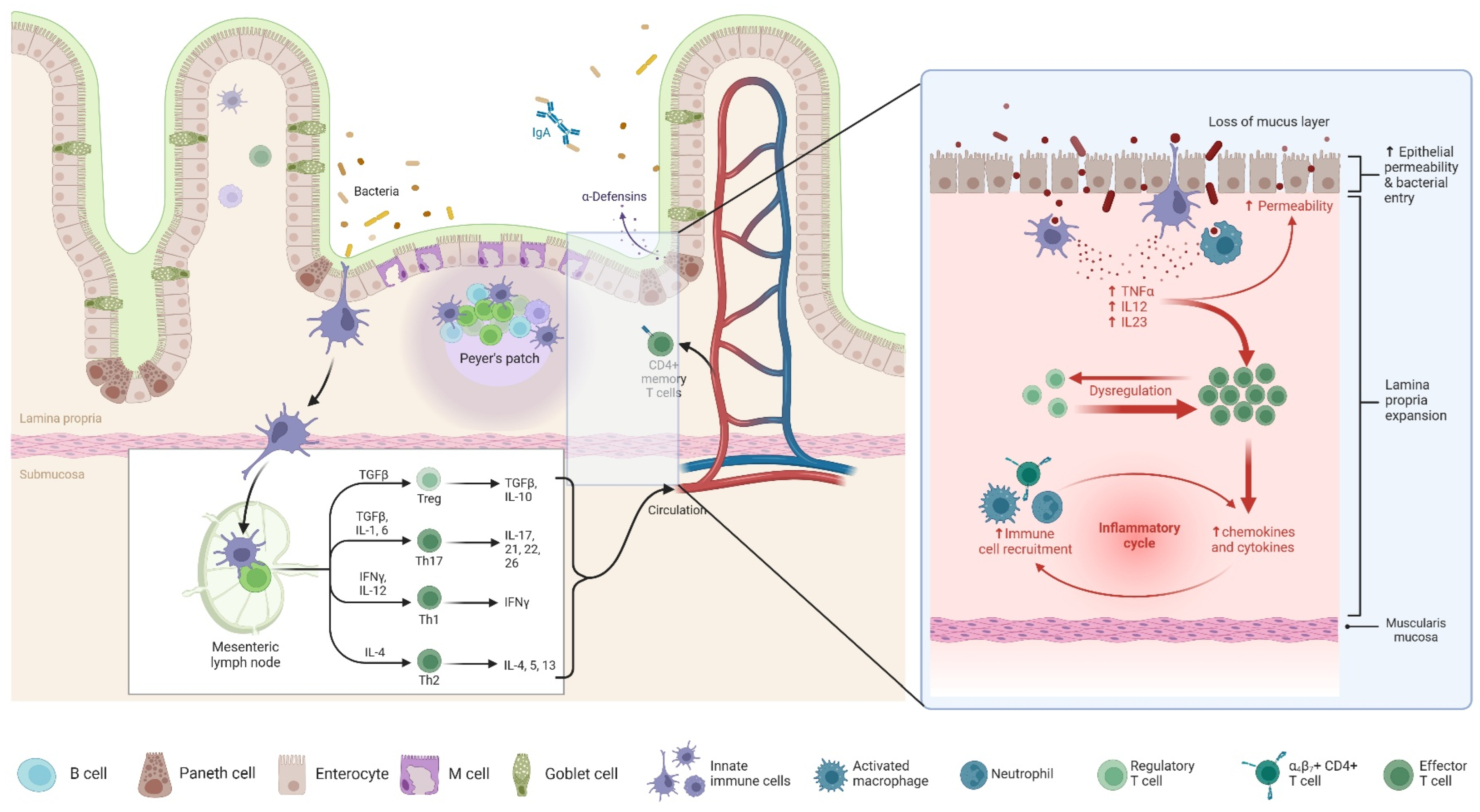 Biomedicines 13 01232 g002