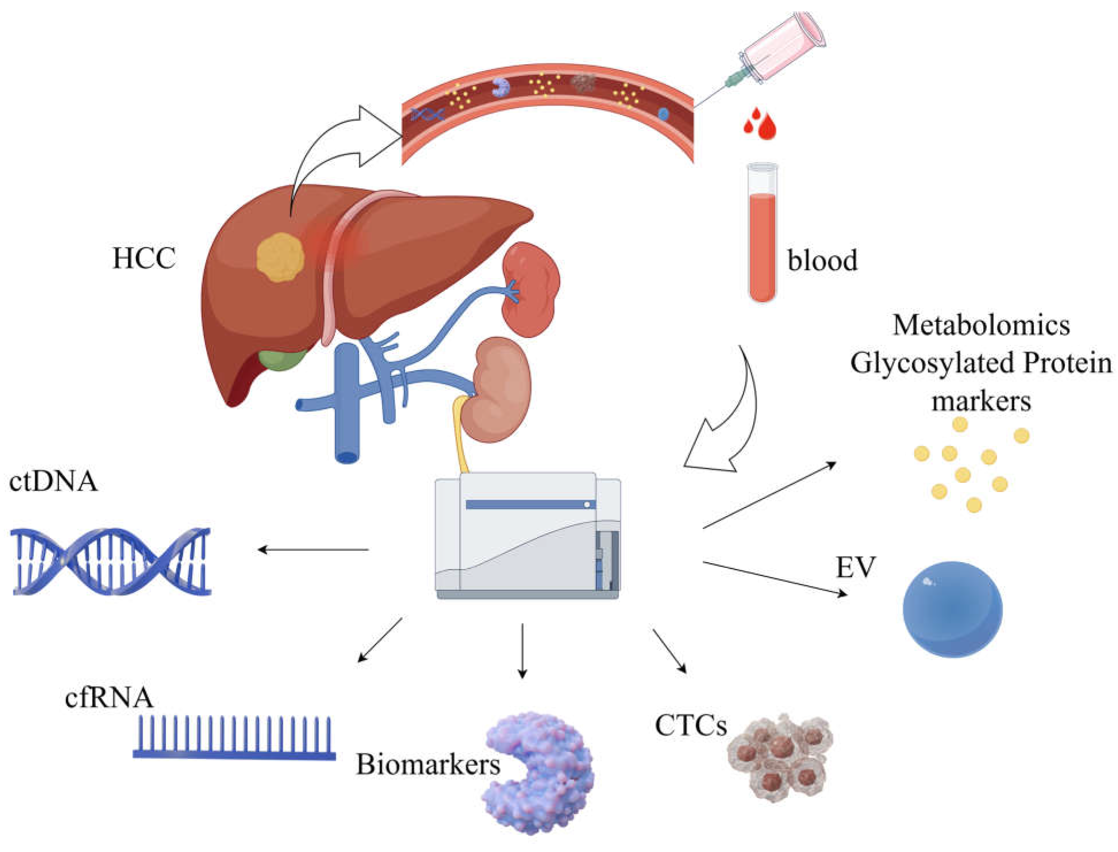 Biomedicines 13 01244 g001