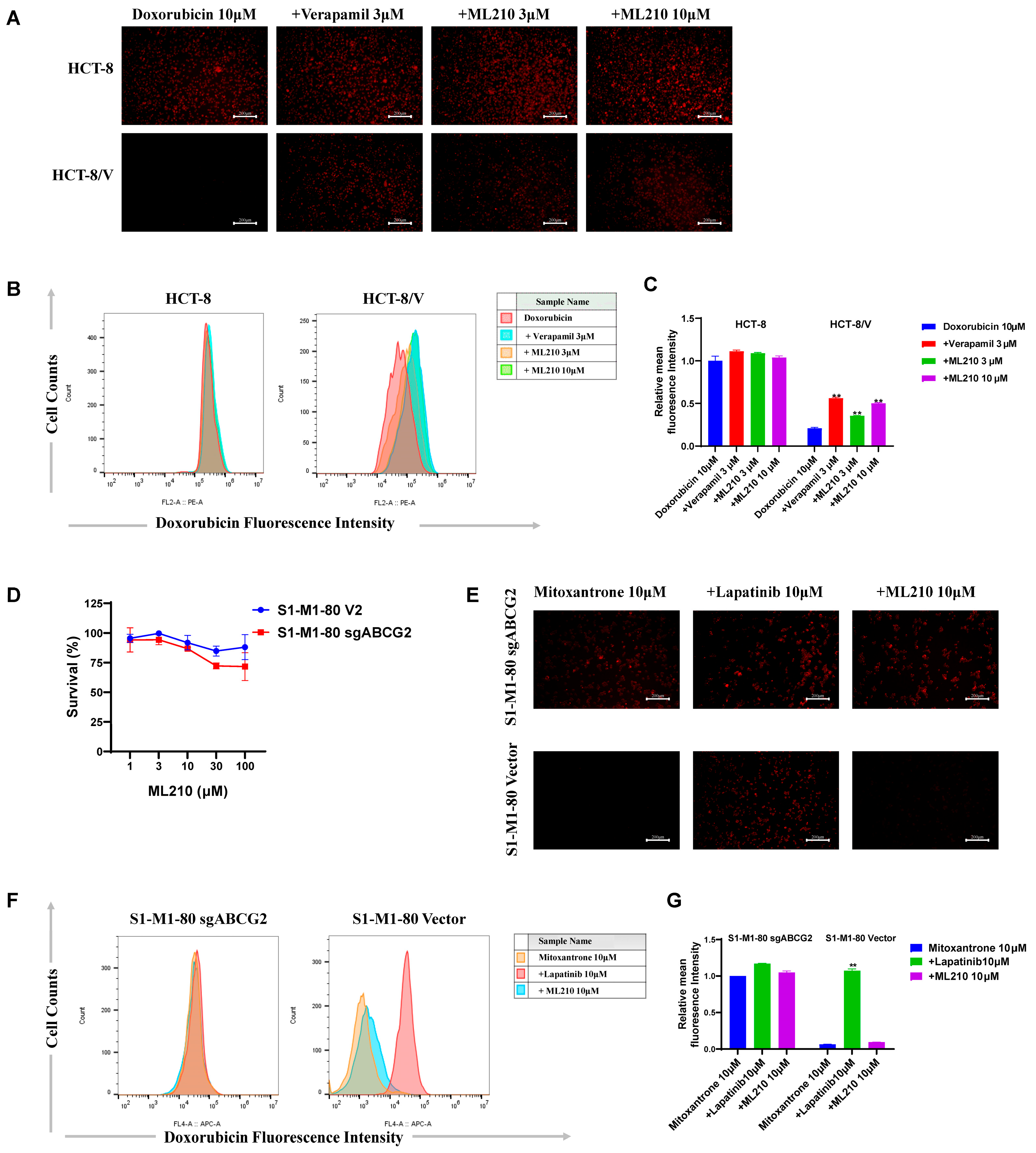 Biomedicines 13 01245 g003