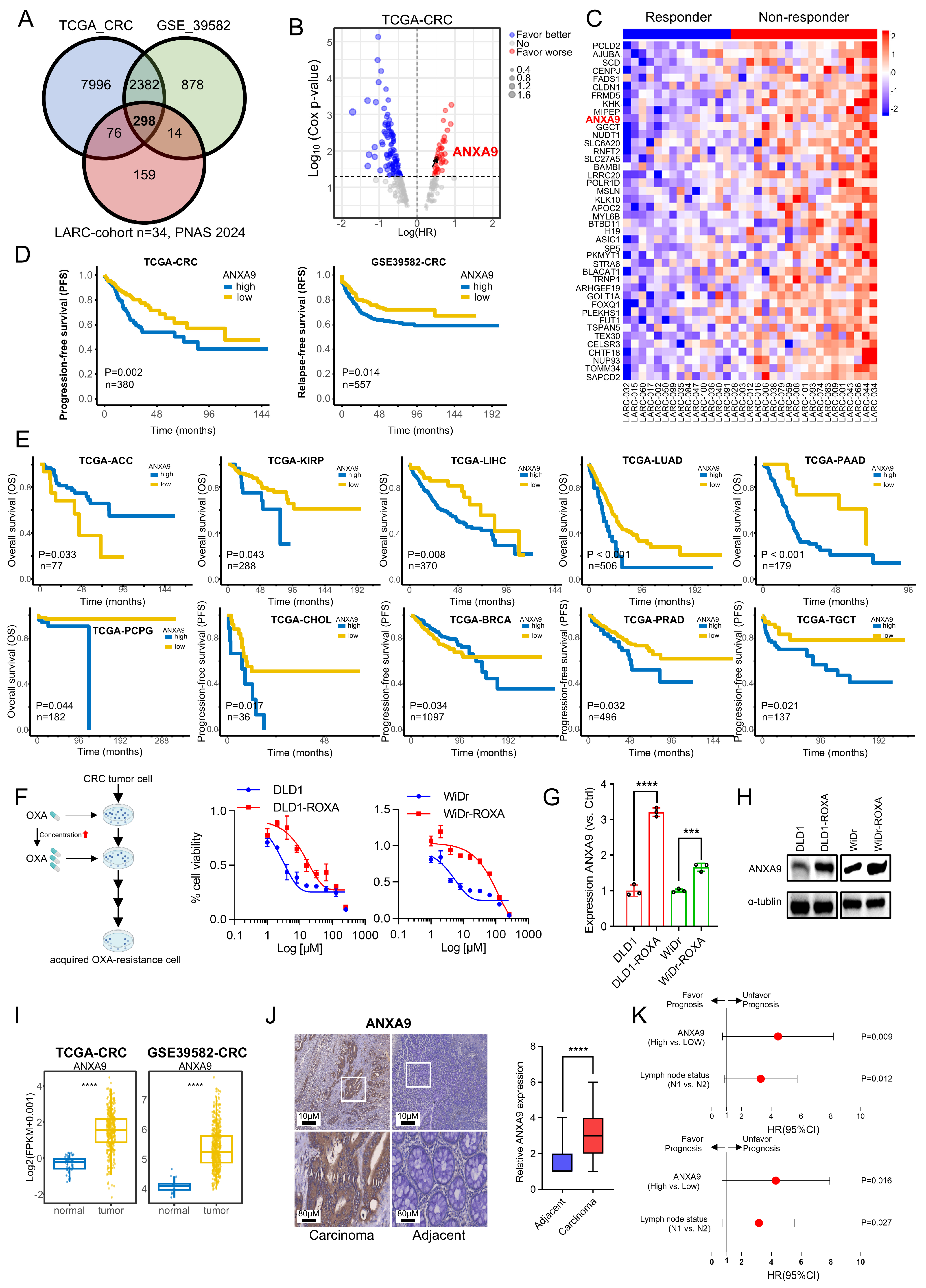 Biomedicines 13 01247 g001