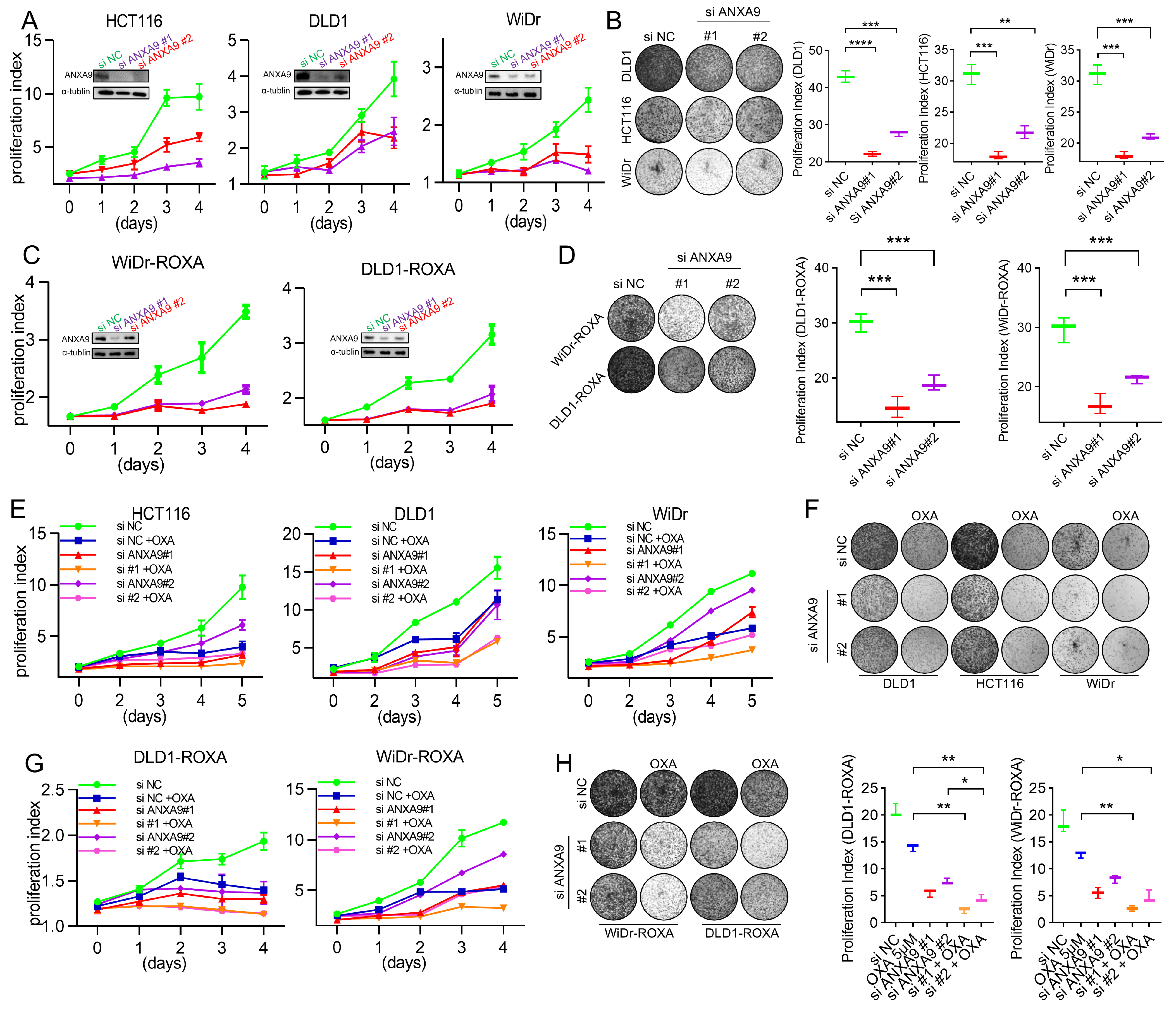 Biomedicines 13 01247 g002