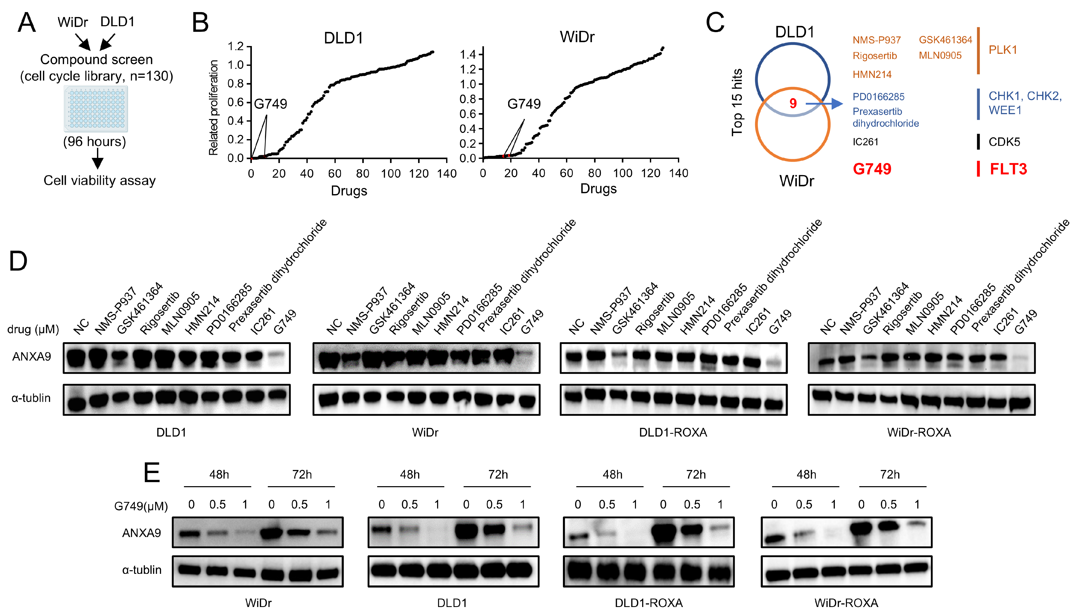 Biomedicines 13 01247 g003