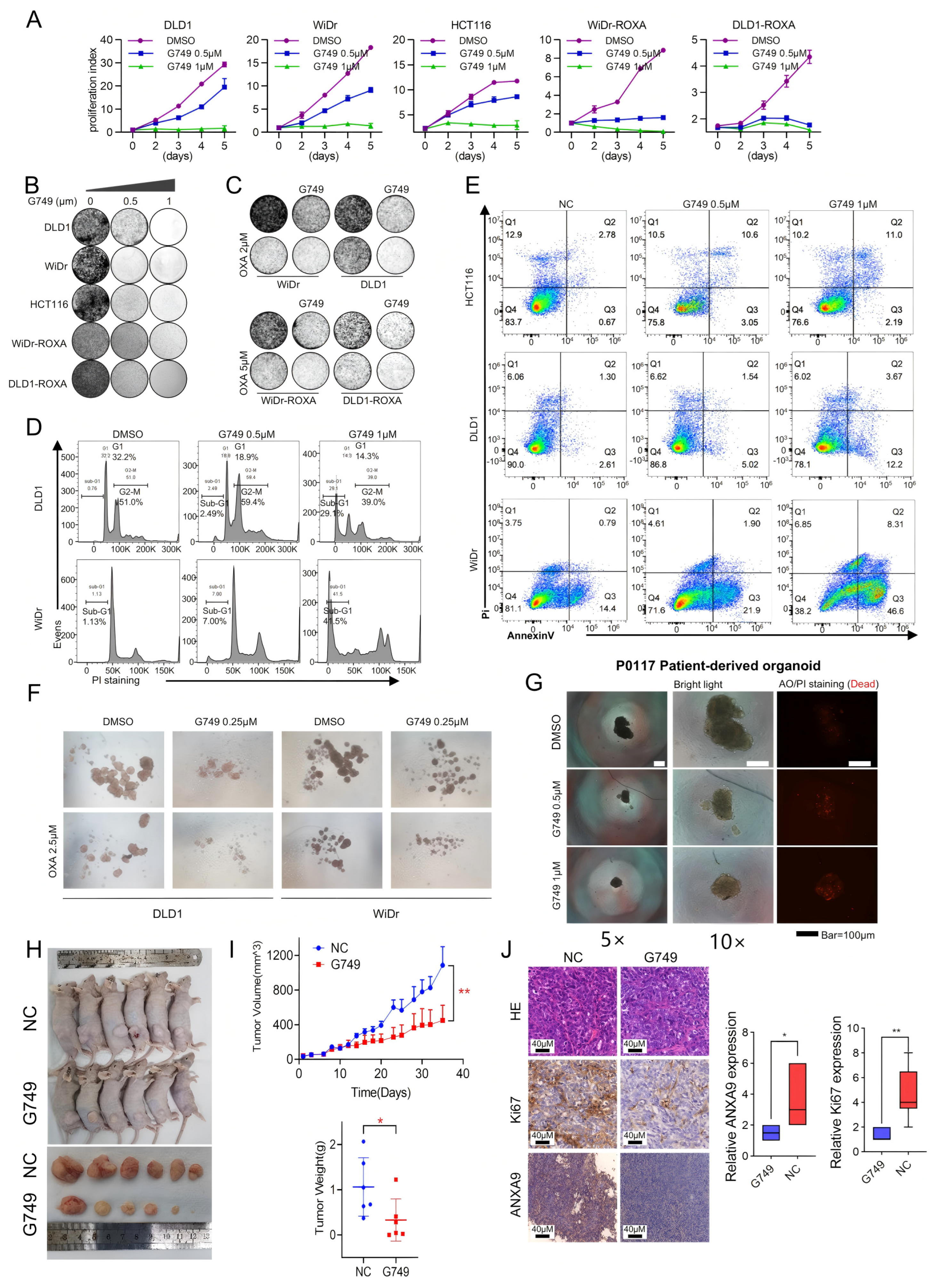 Biomedicines 13 01247 g004