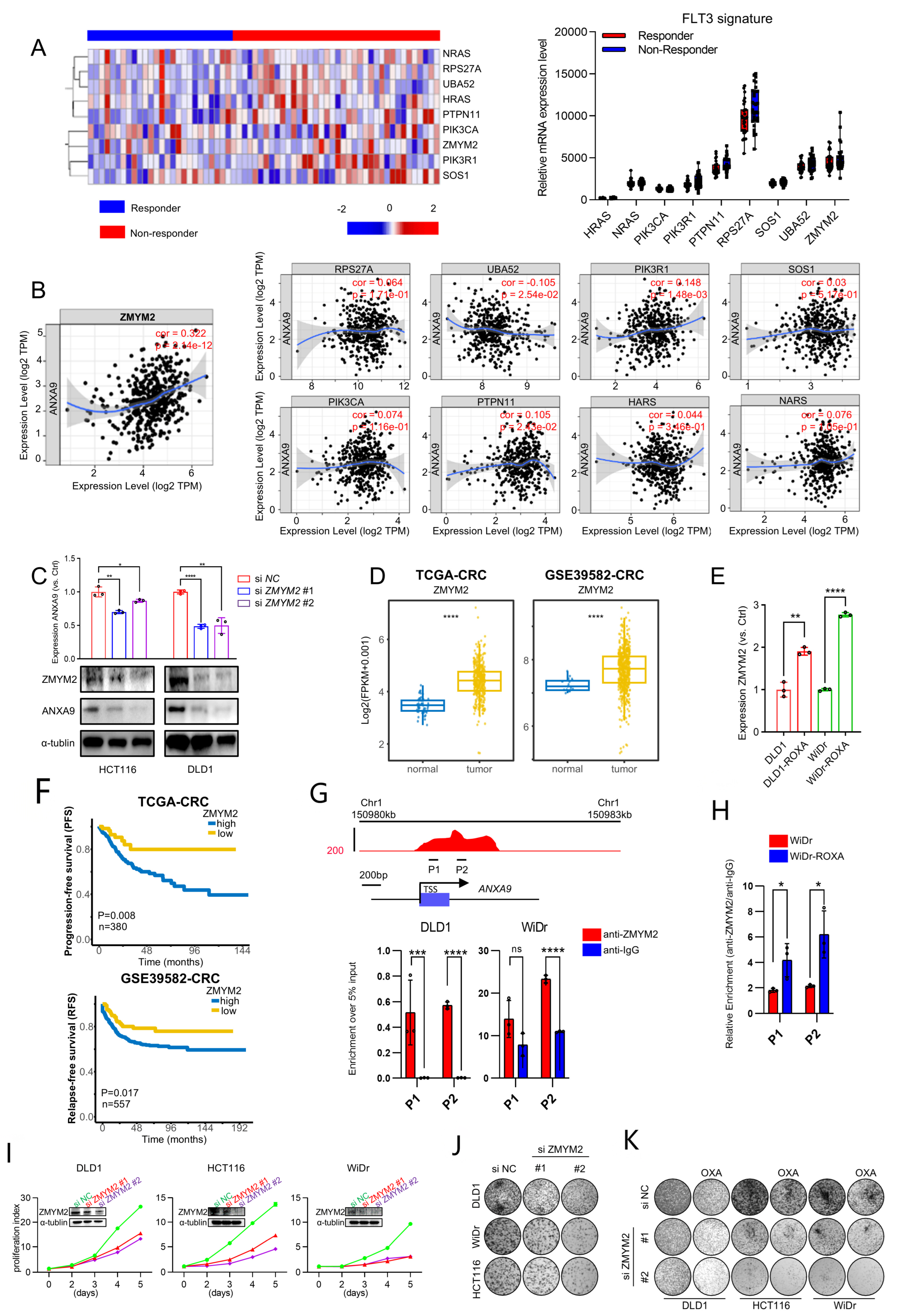 Biomedicines 13 01247 g005