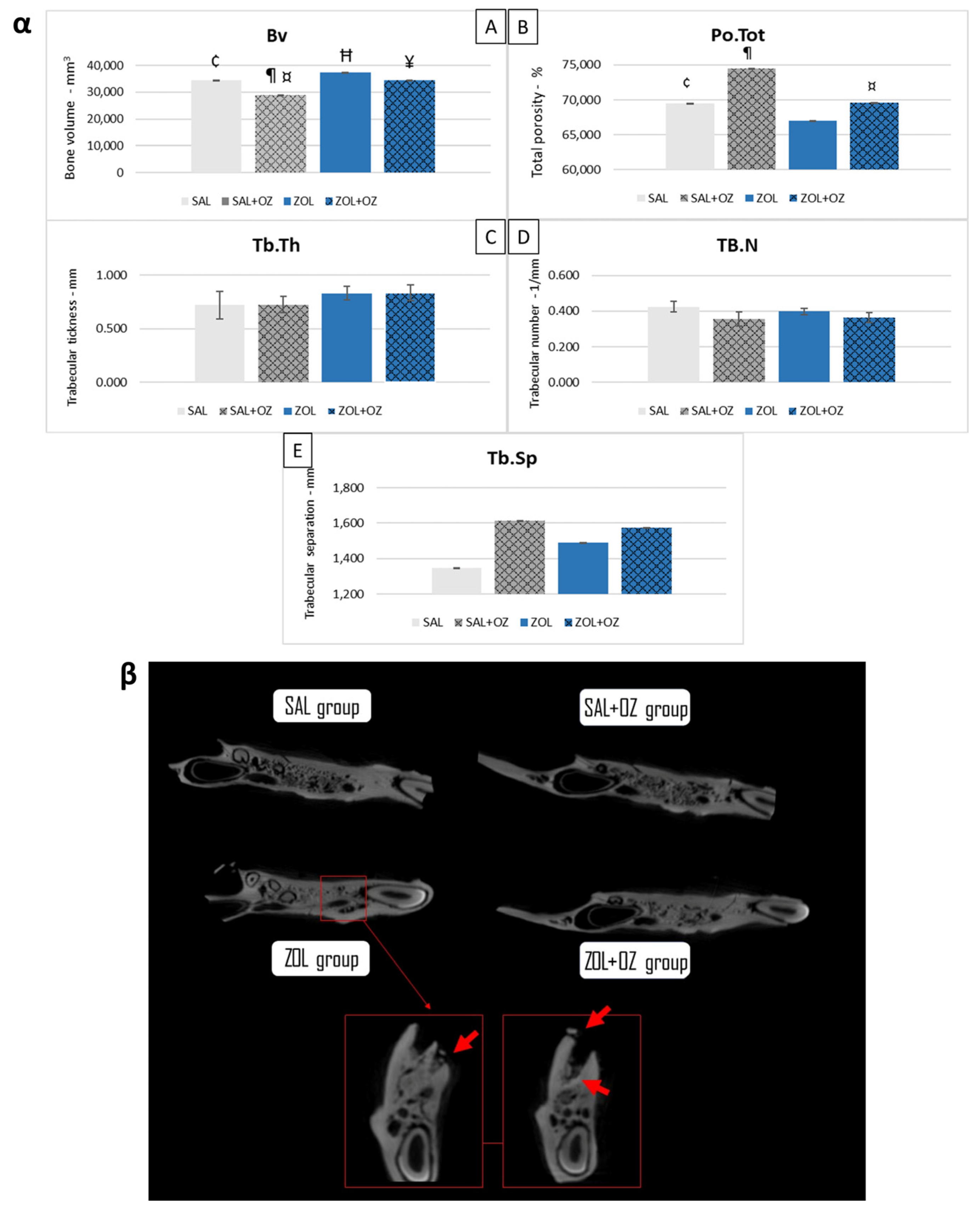 Biomedicines 13 01248 g001