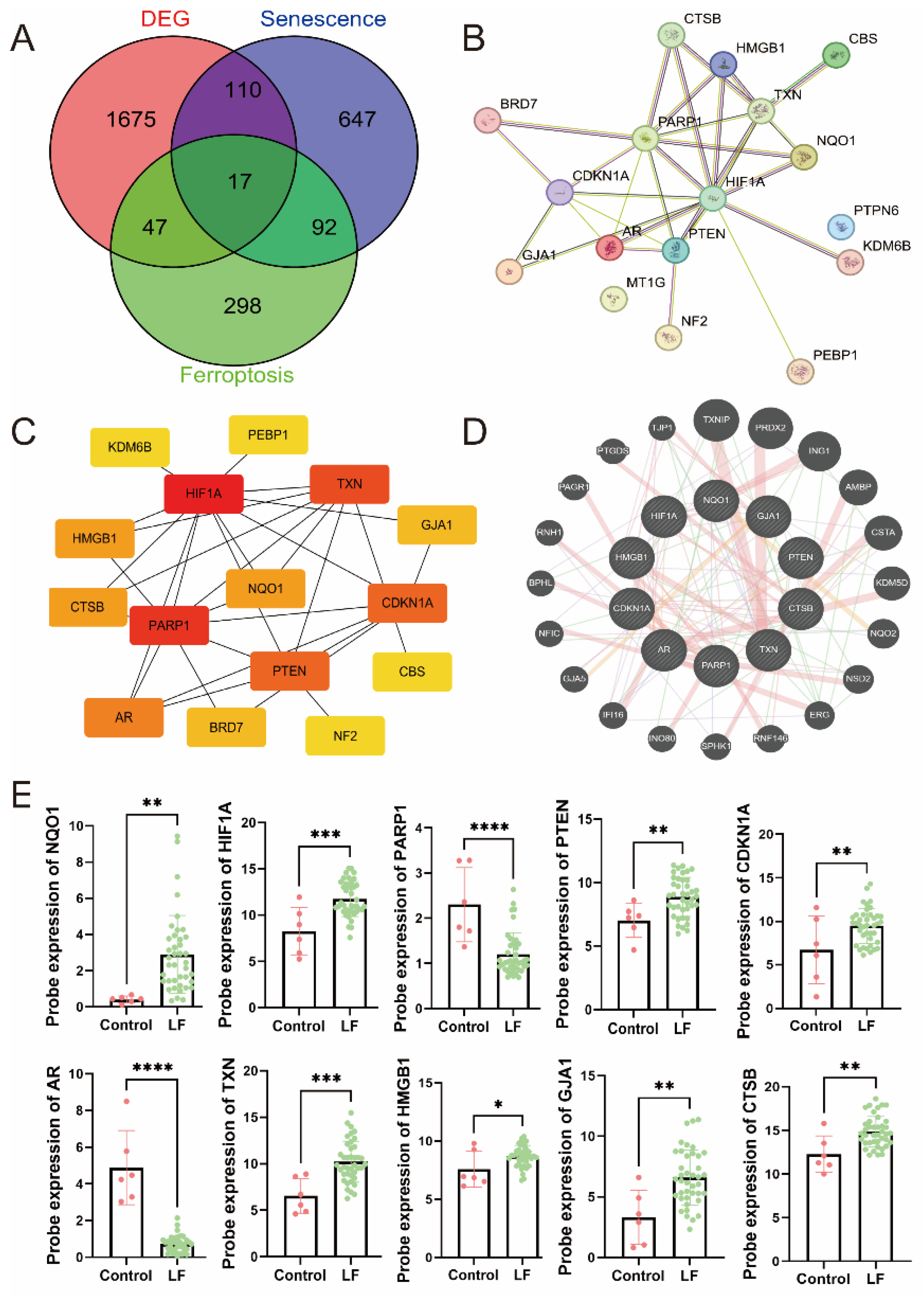 Biomedicines 13 01249 g002
