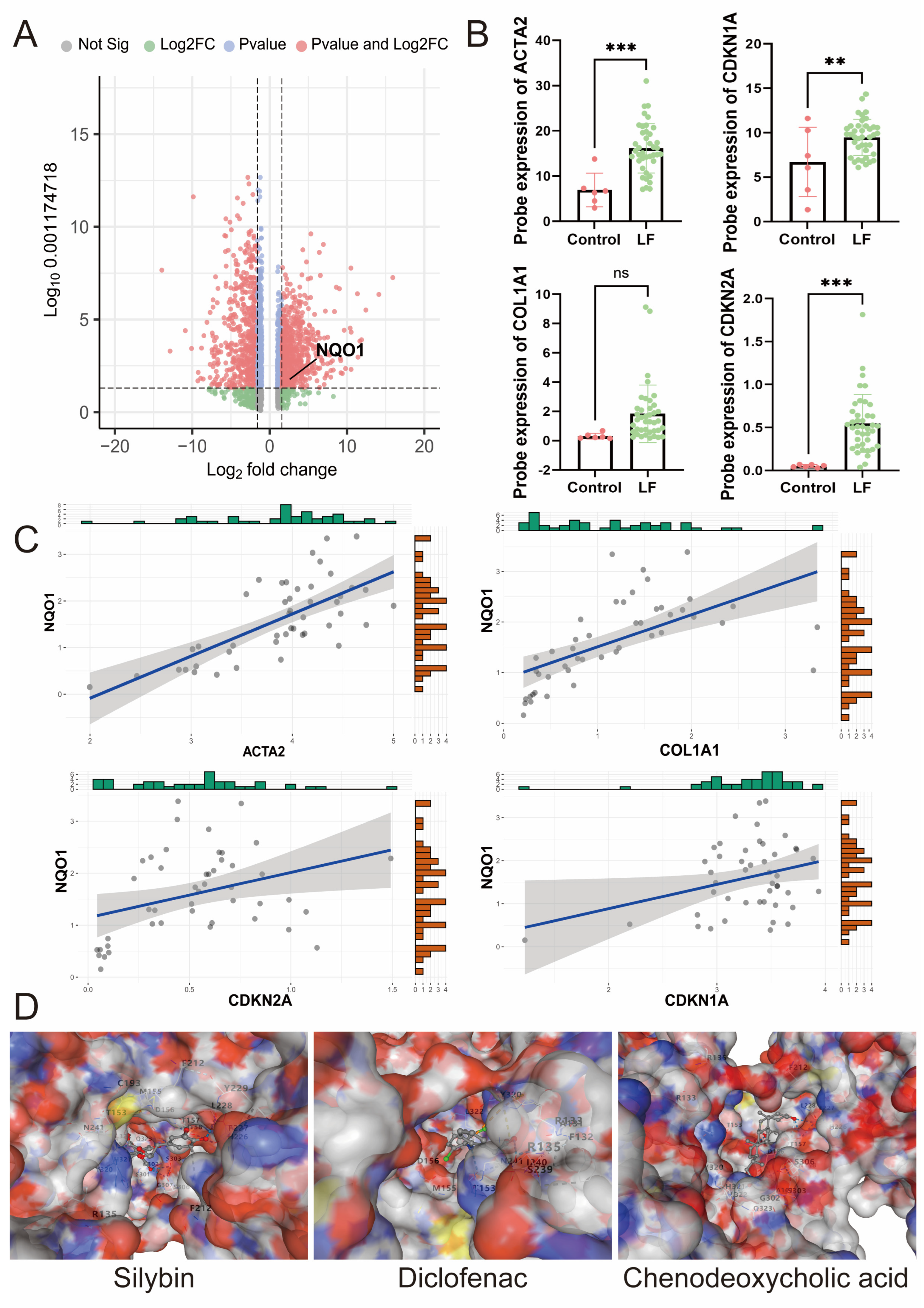 Biomedicines 13 01249 g004
