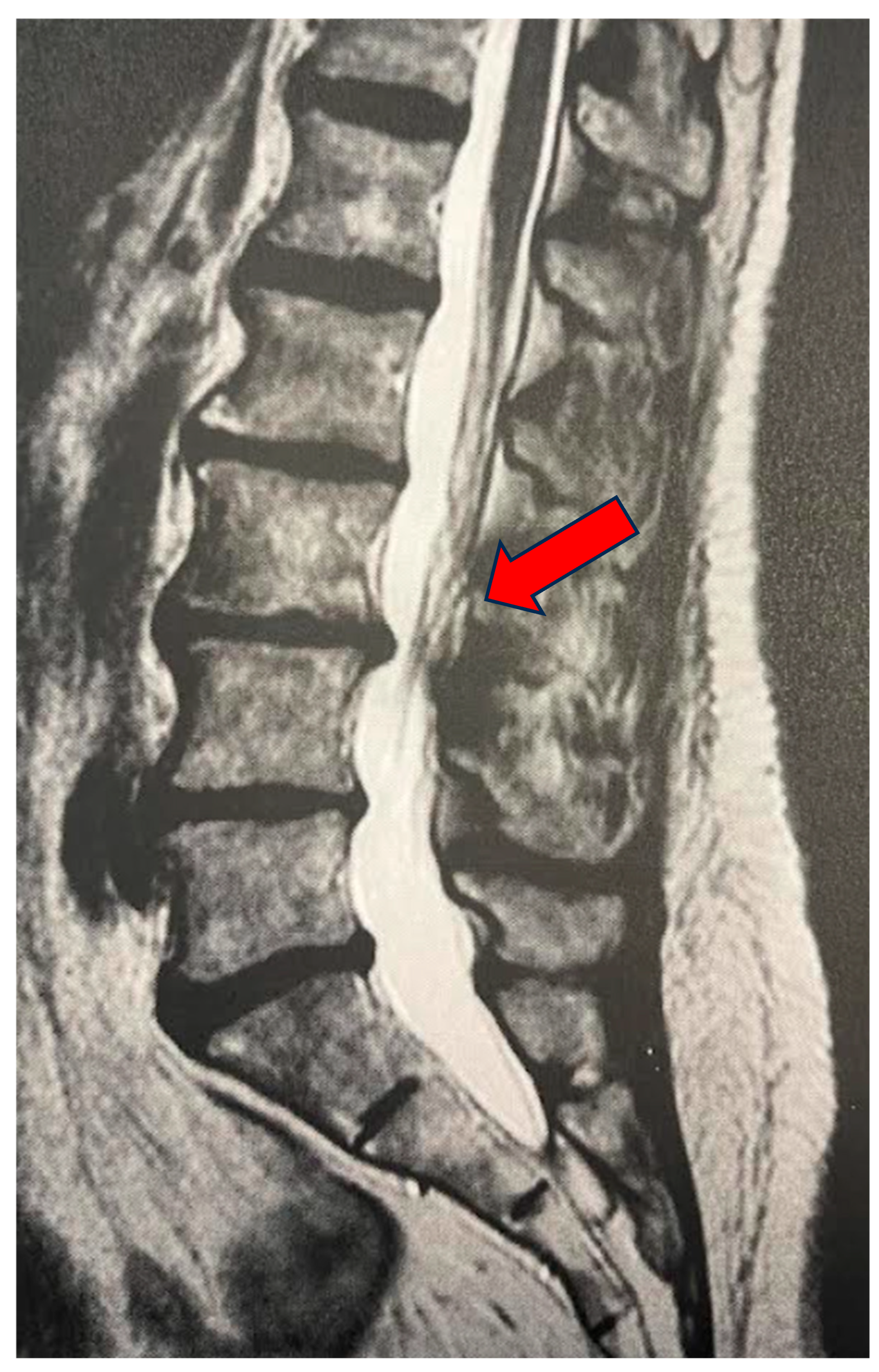 Biomedicines 13 01250 g001