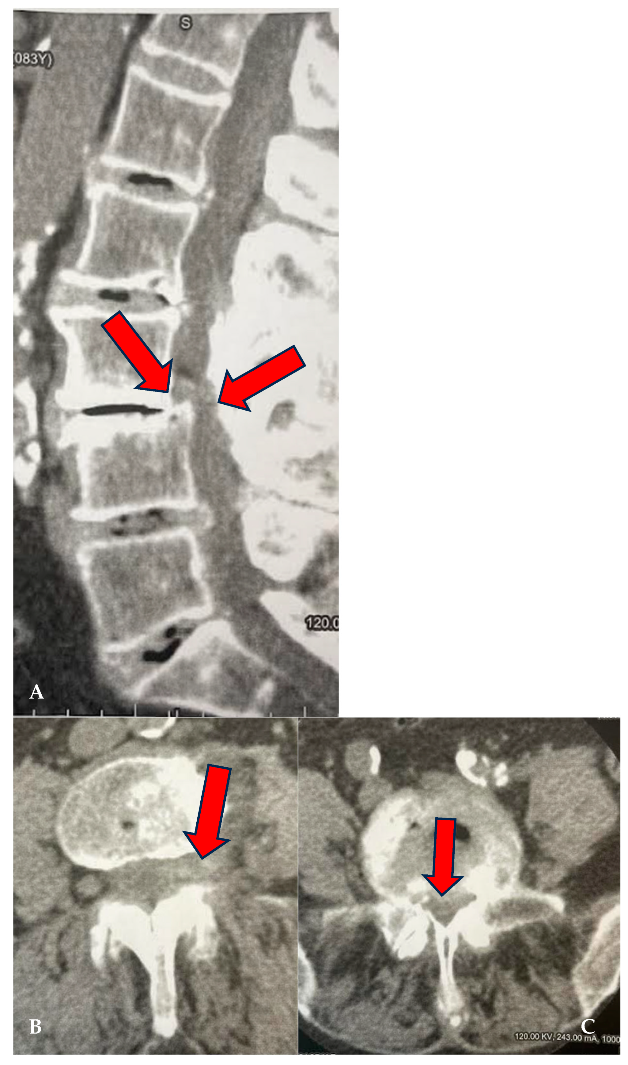 Biomedicines 13 01250 g002