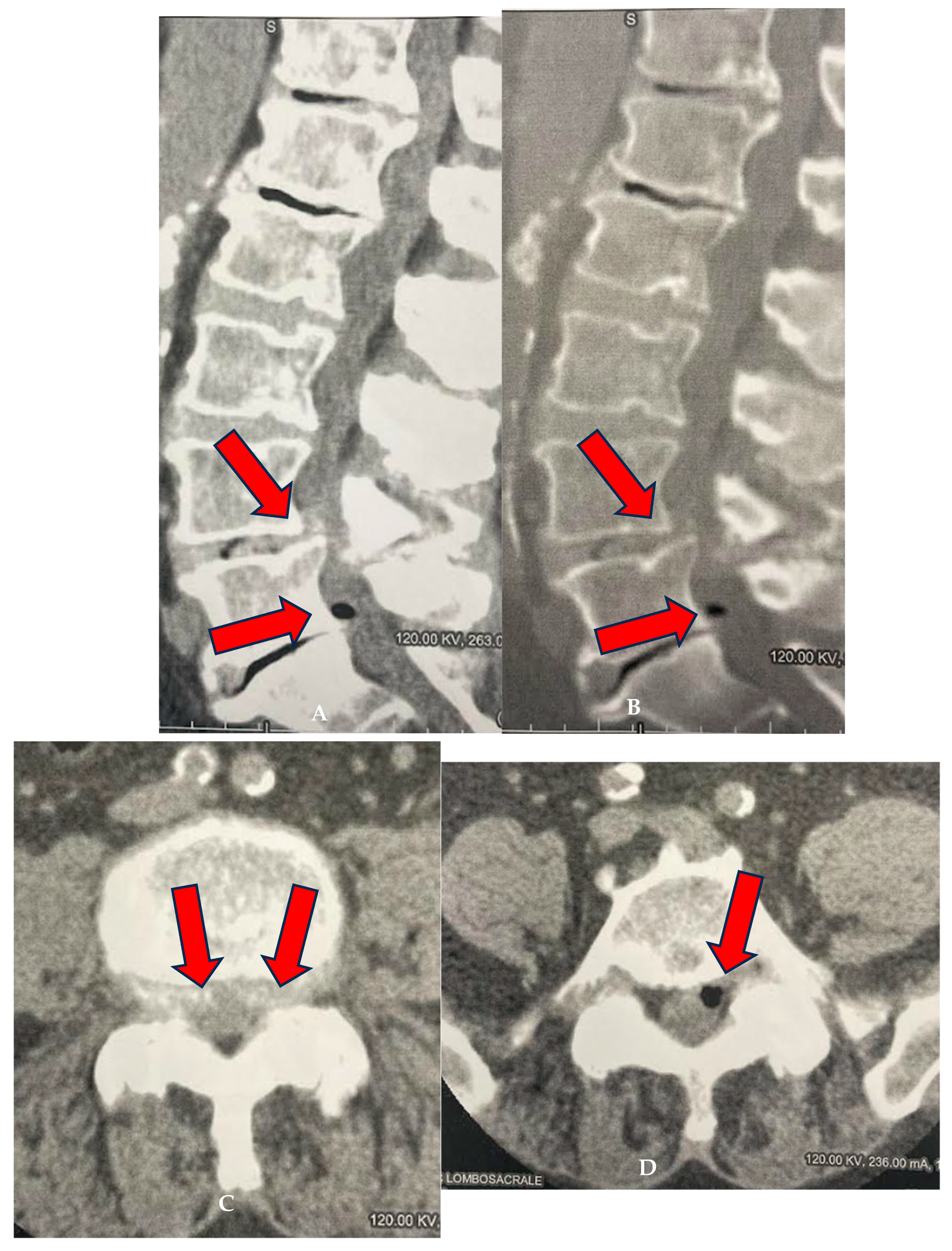 Biomedicines 13 01250 g003