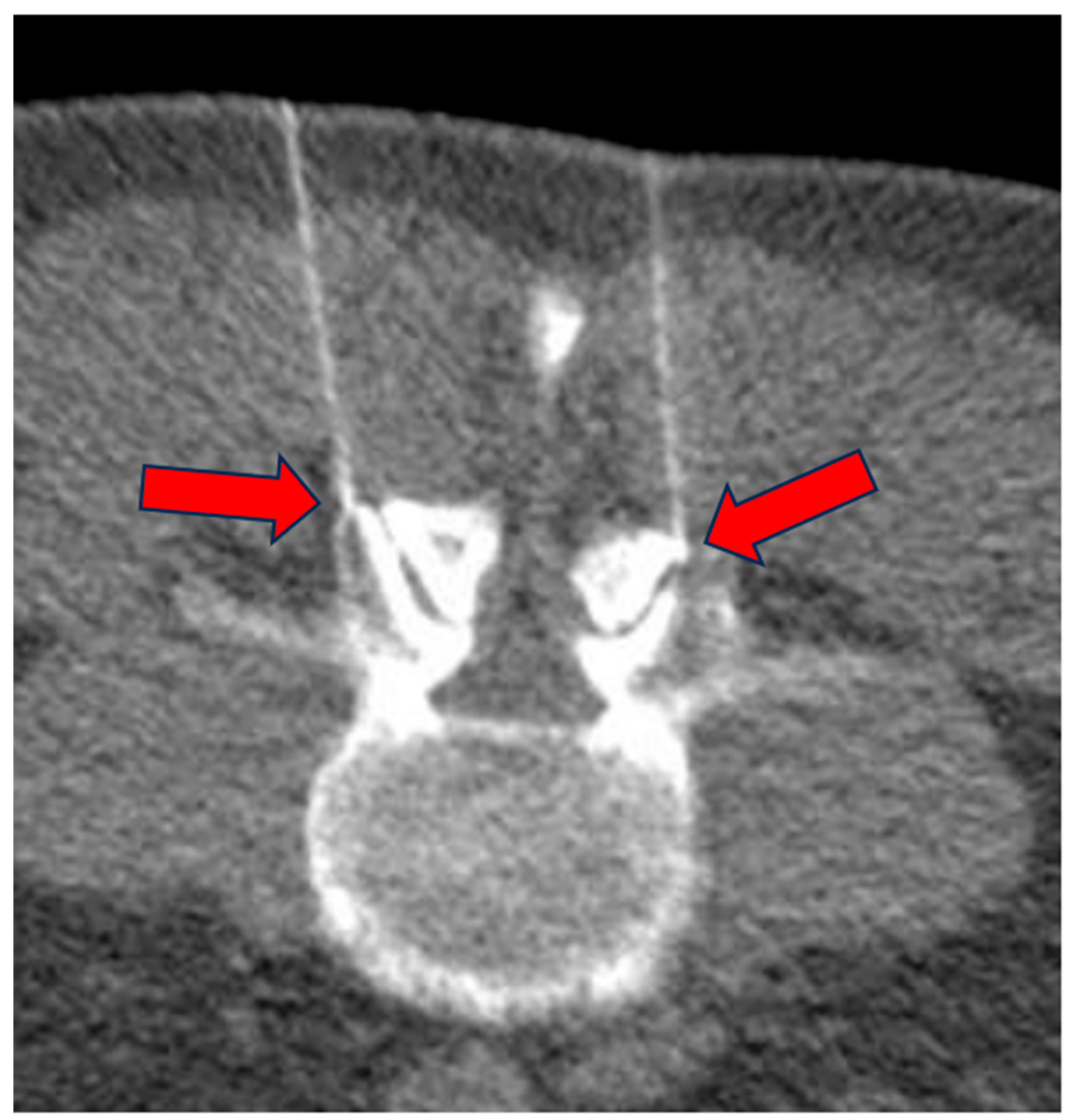 Biomedicines 13 01250 g004