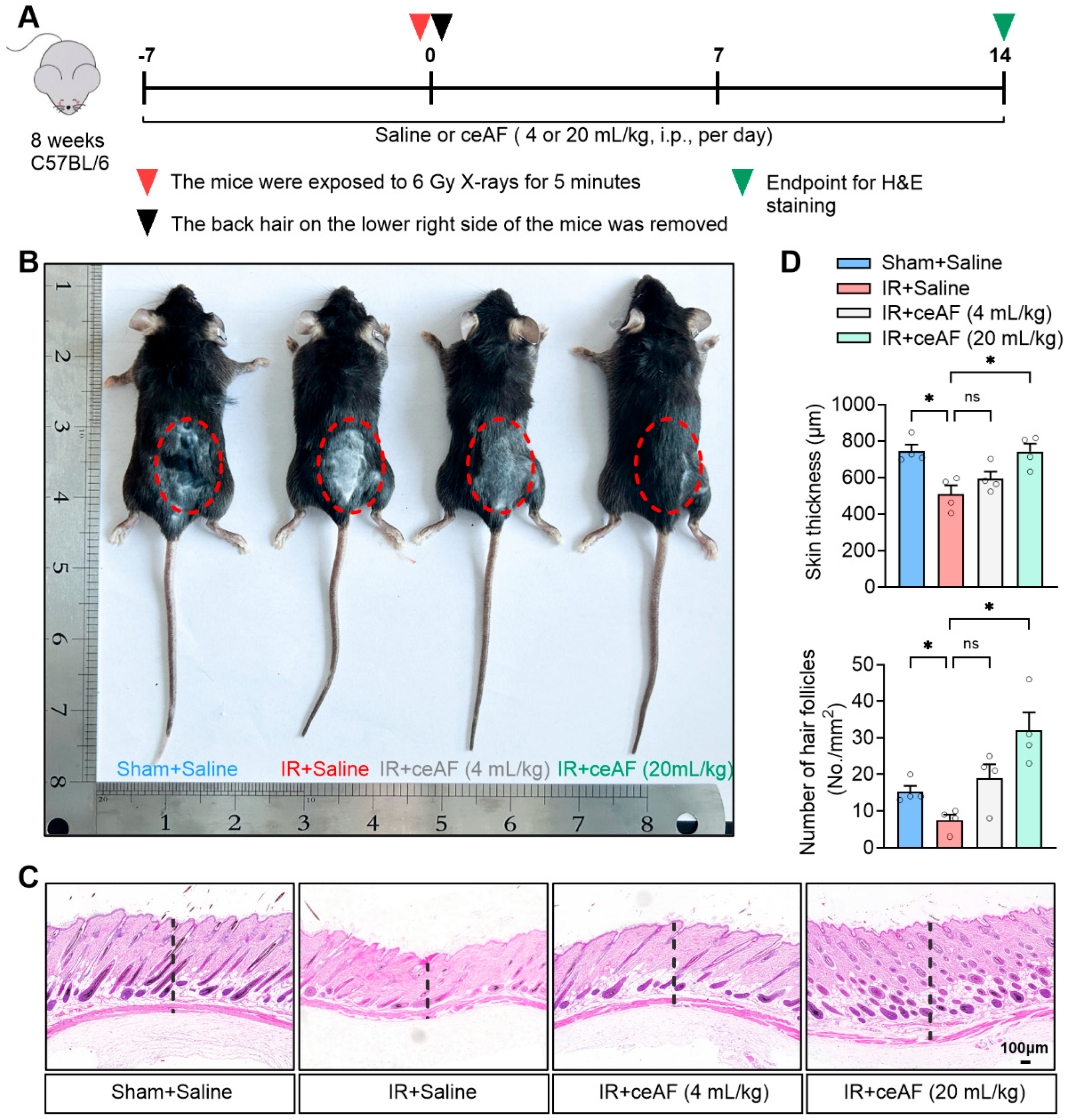 Biomedicines 13 01253 g002
