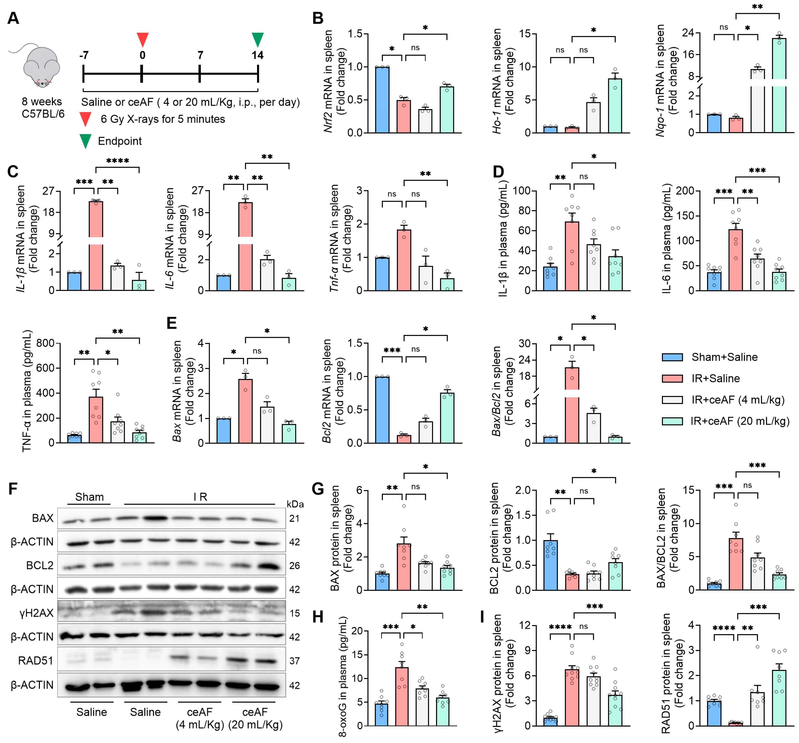 Biomedicines 13 01253 g006