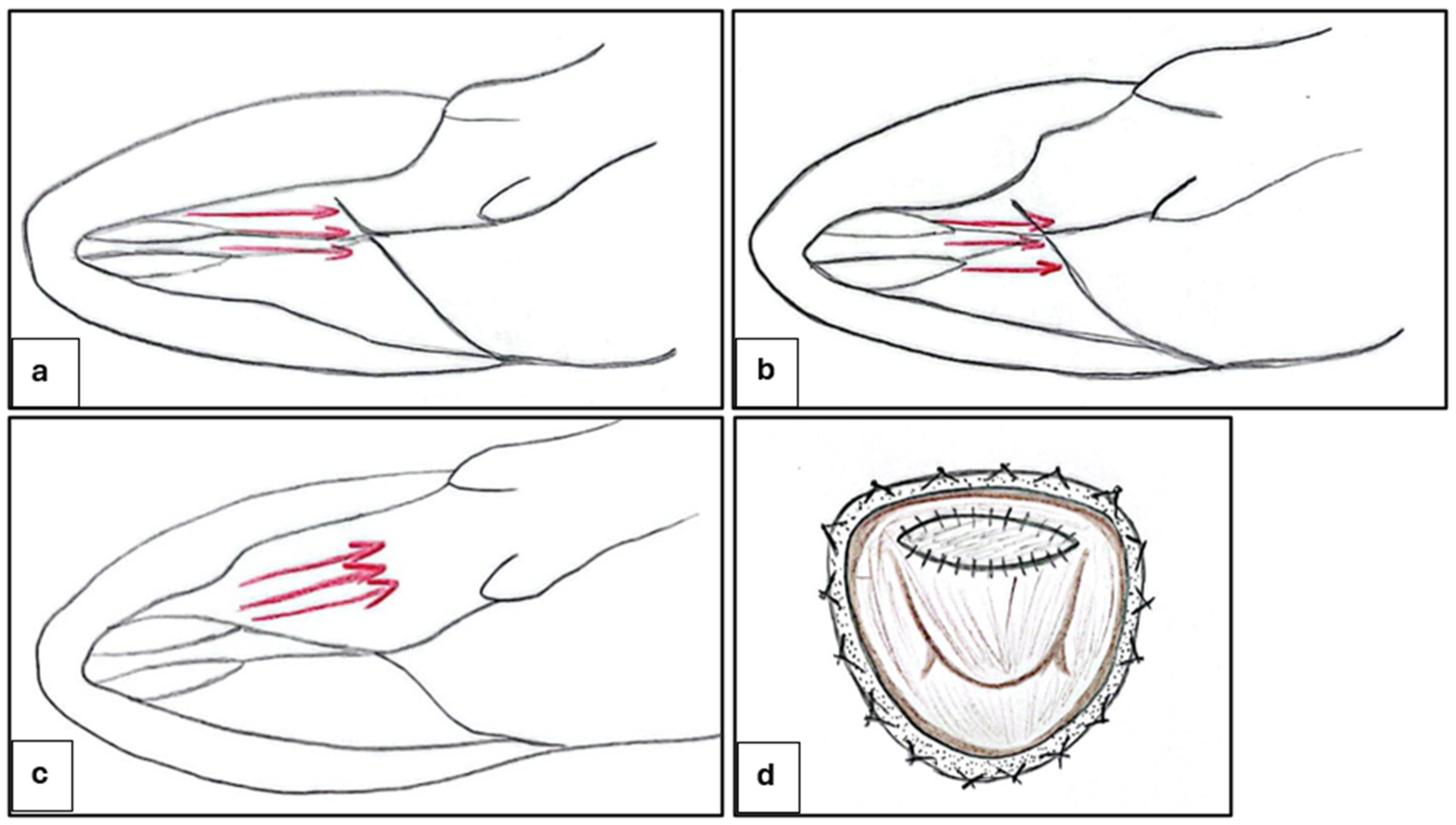 Biomedicines 13 01256 g004
