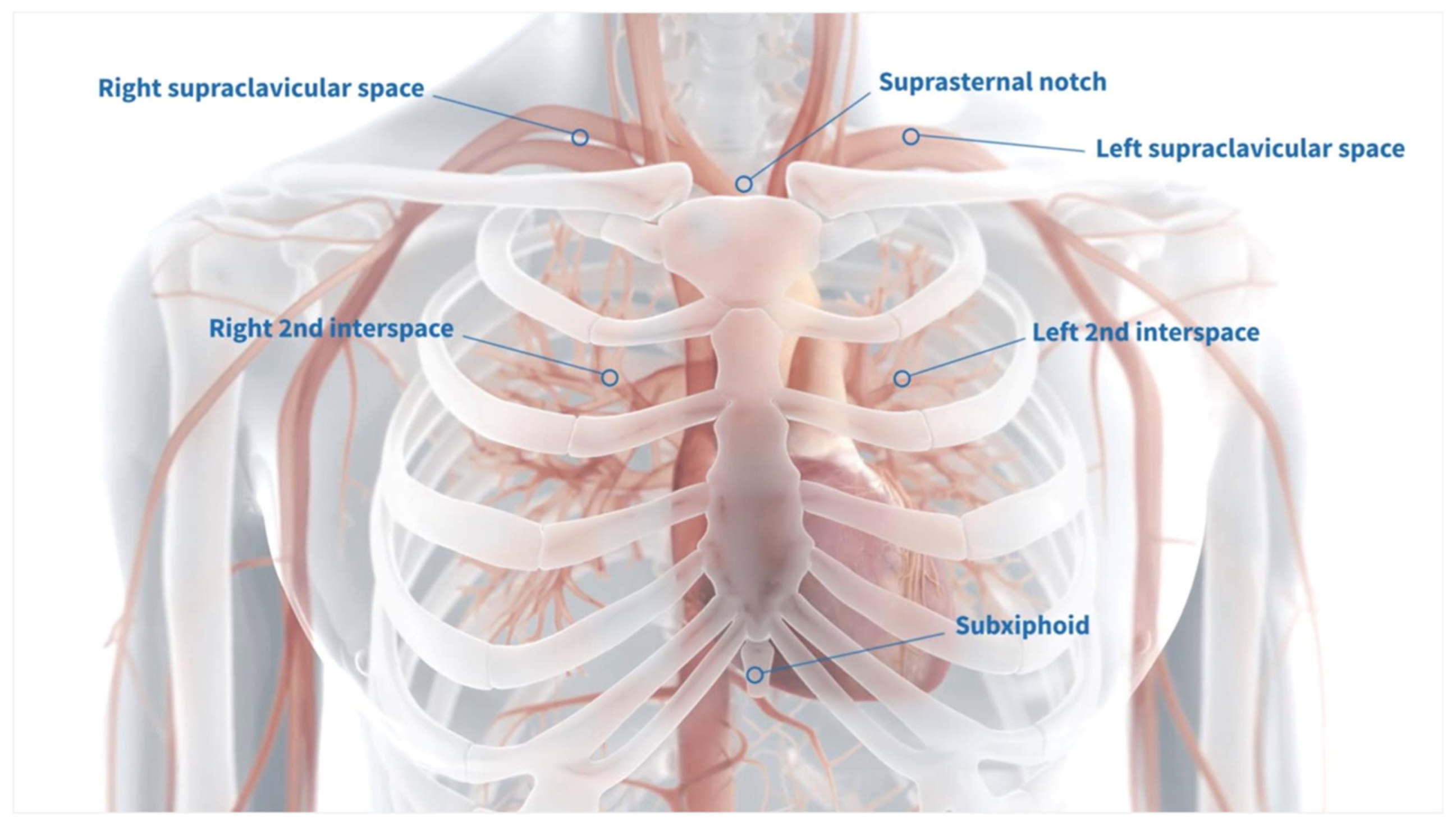 Biomedicines 13 01259 g002