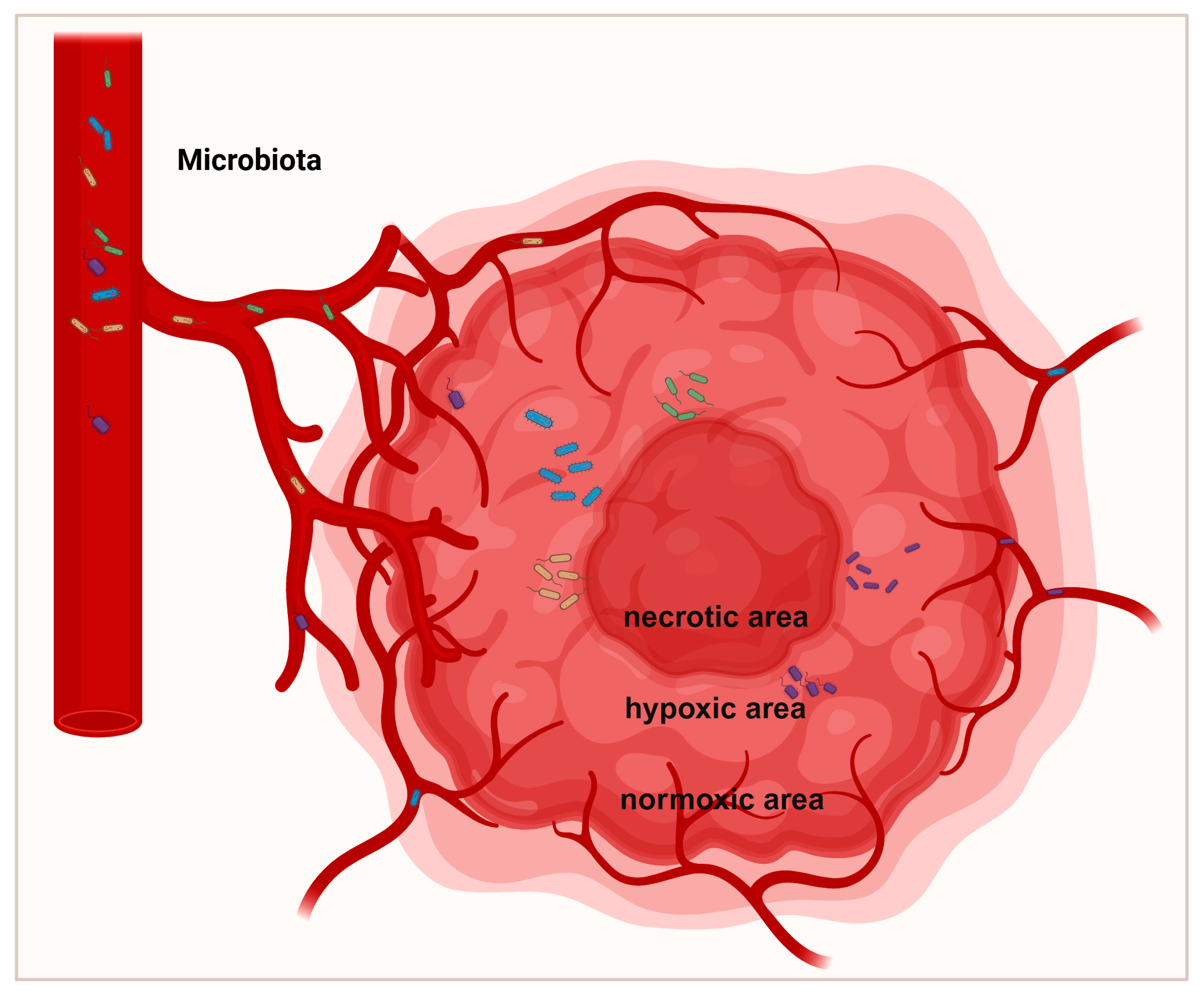 Biomedicines 13 01261 g002