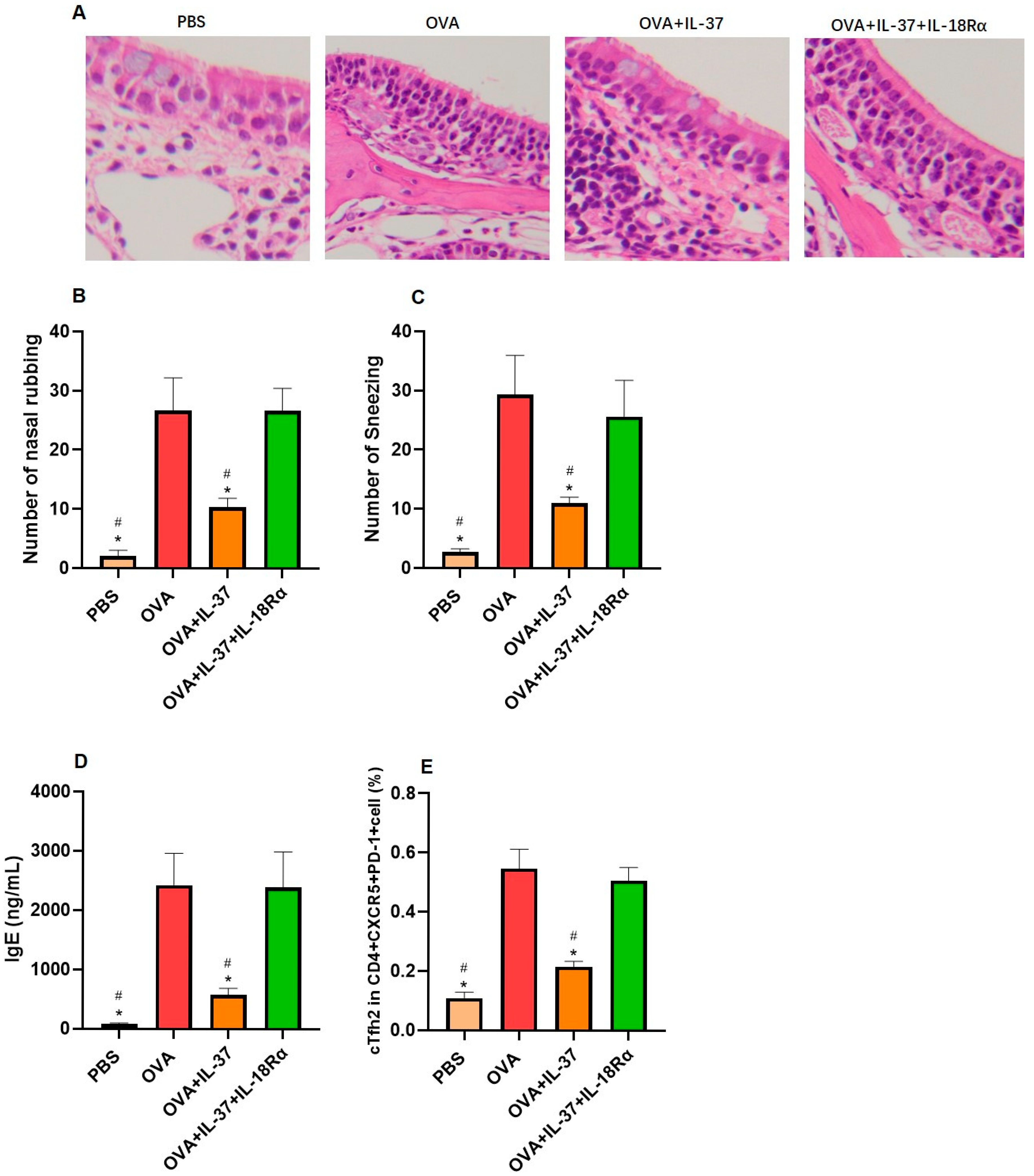 Biomedicines 13 01263 g004