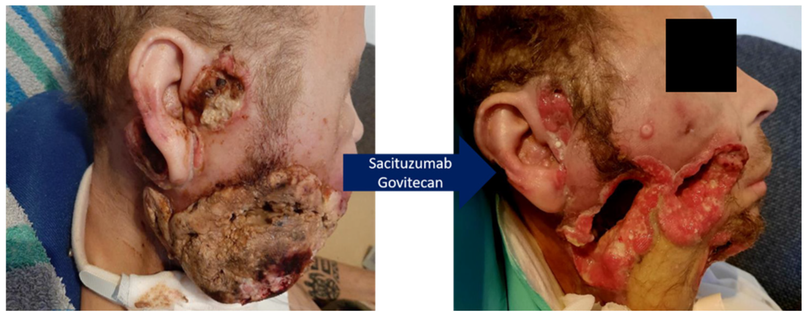 Biomedicines 13 01266 g003