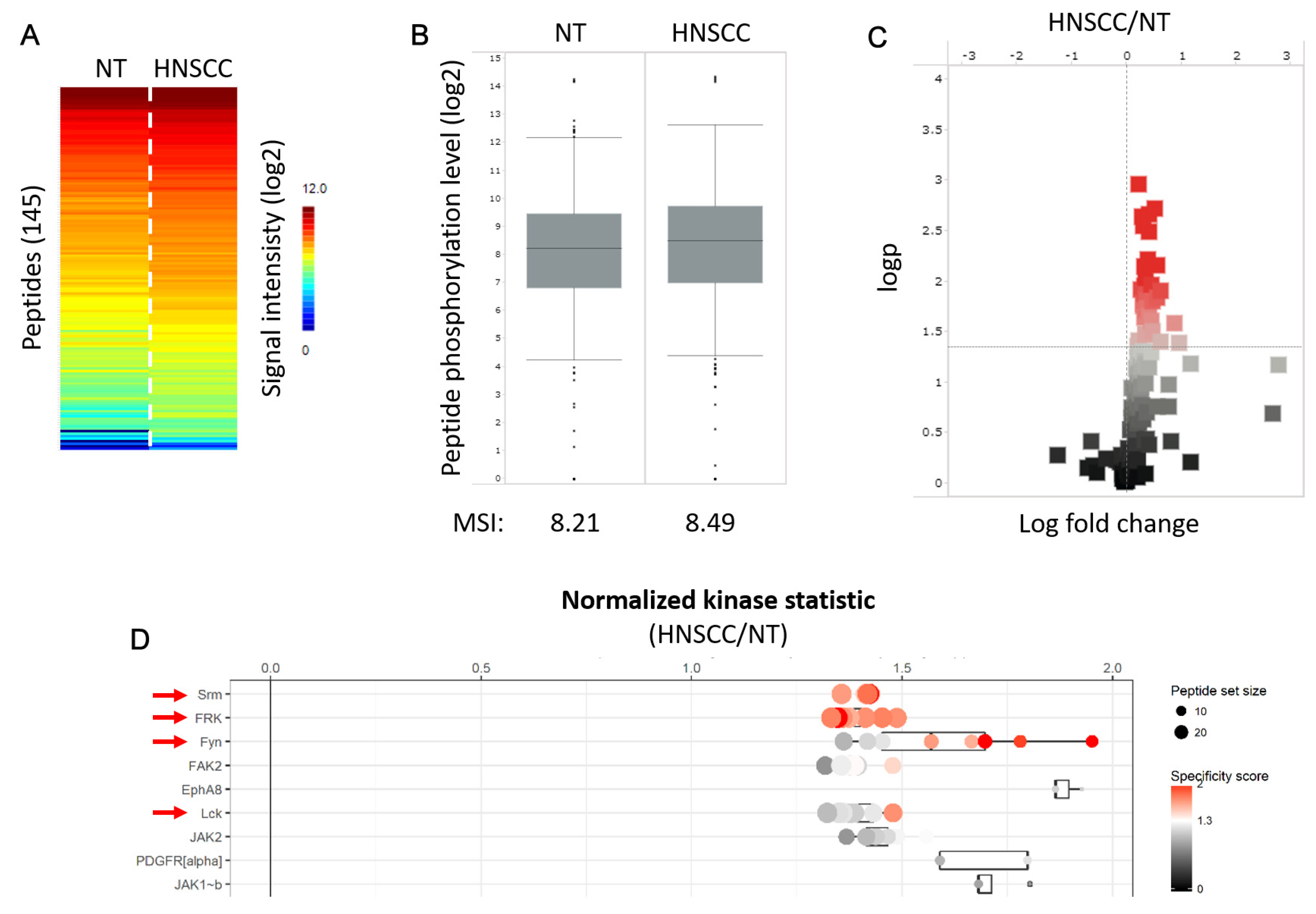 Biomedicines 13 01266 g0a2