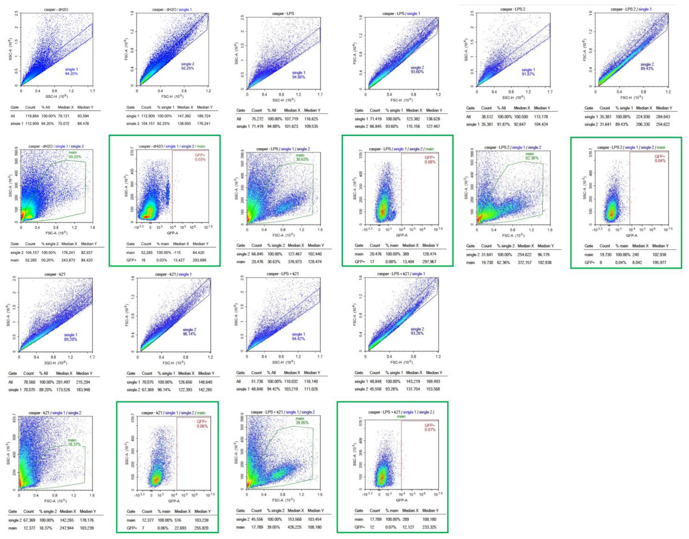 Biomedicines 13 01267 g008a