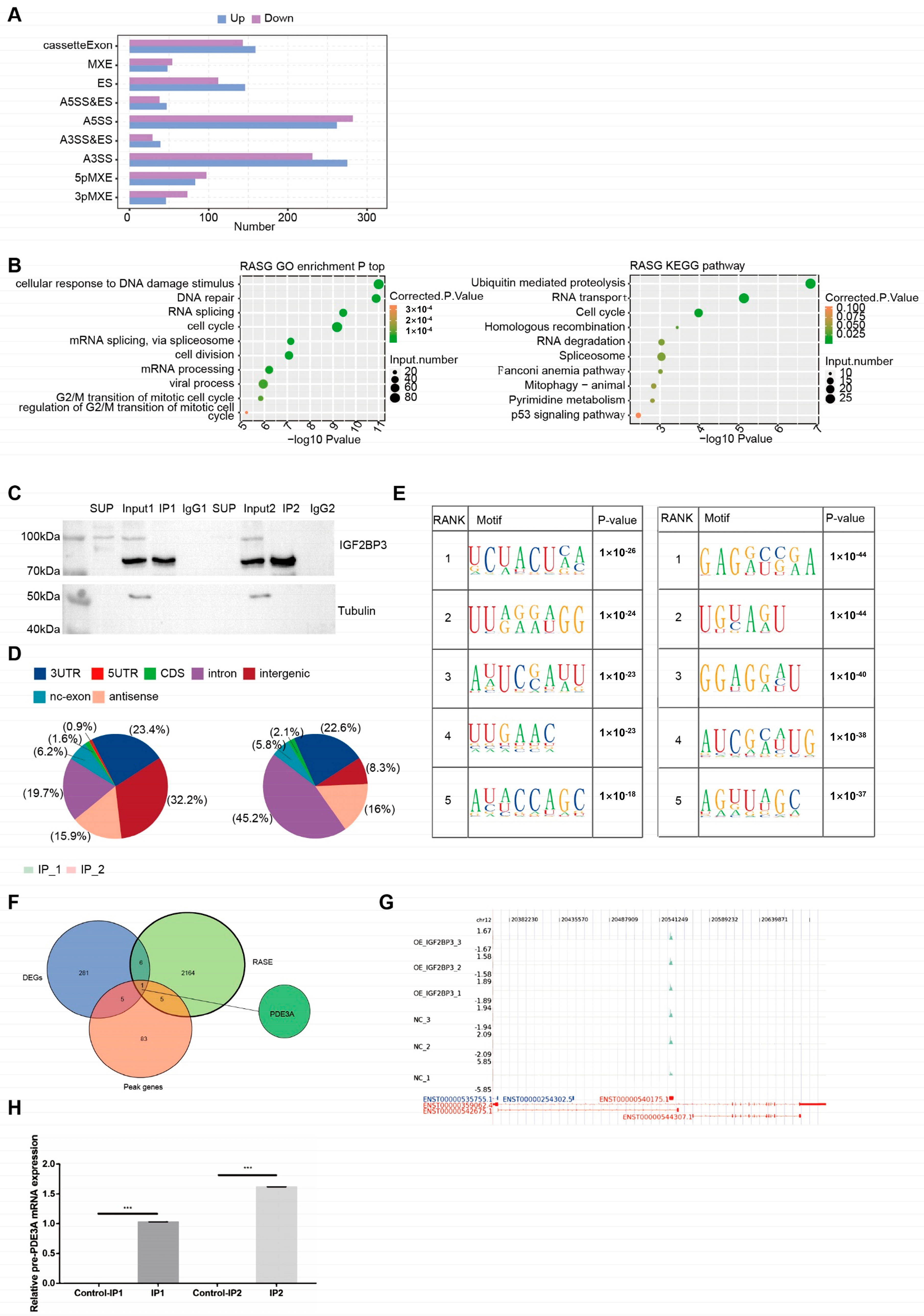 Biomedicines 13 01268 g004