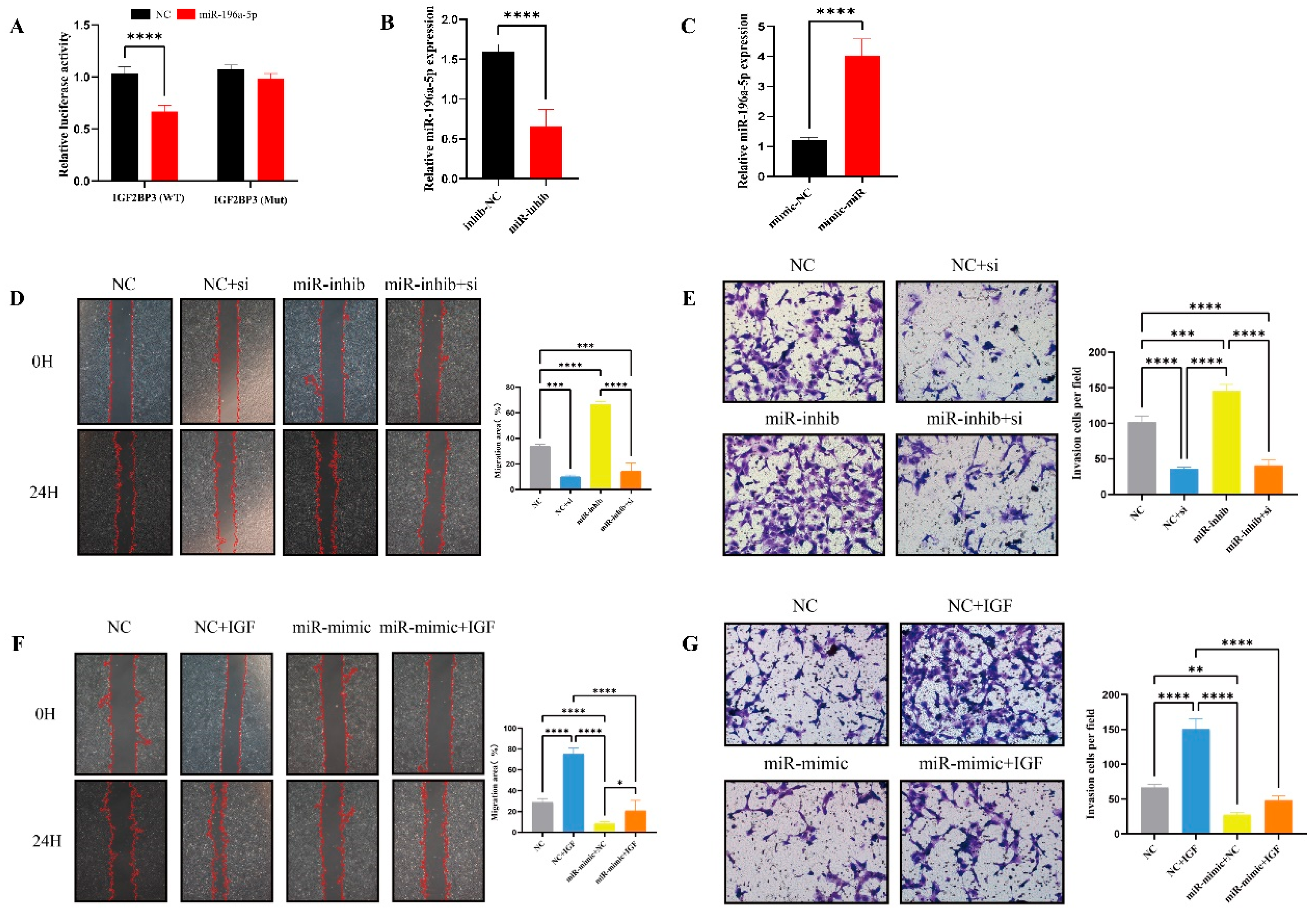 Biomedicines 13 01268 g007