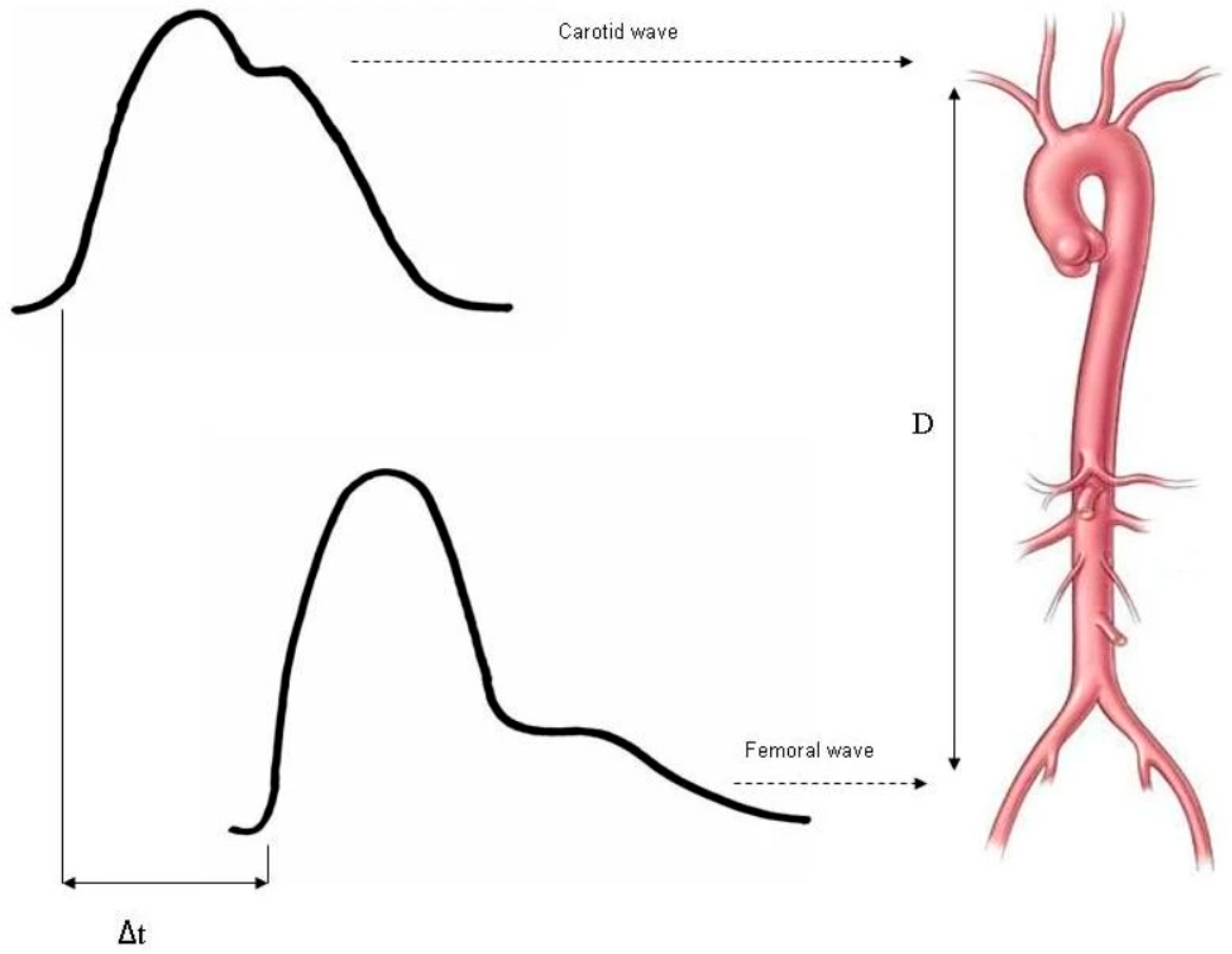 Biomedicines 13 01279 g001