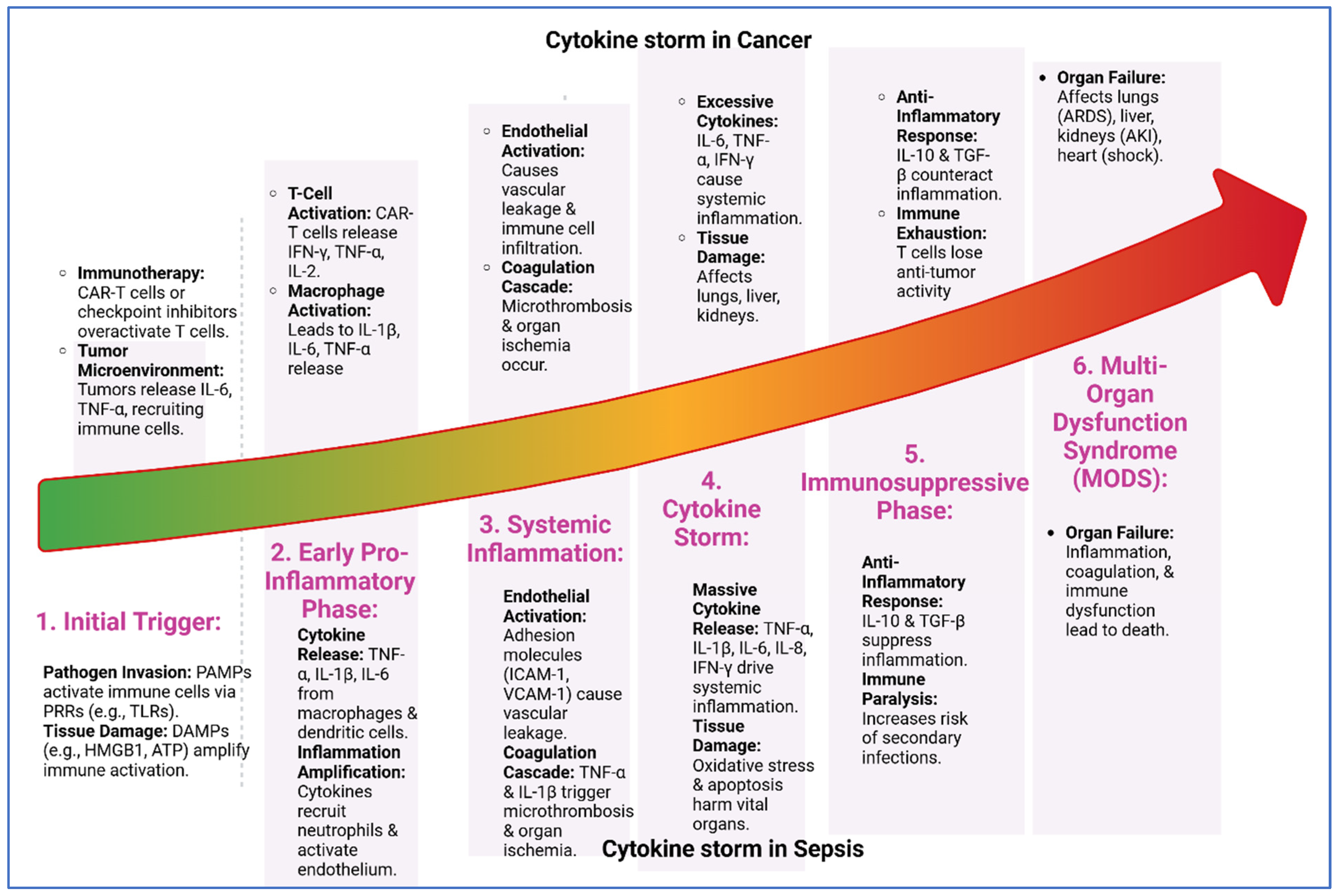 Biomedicines 13 01280 g002