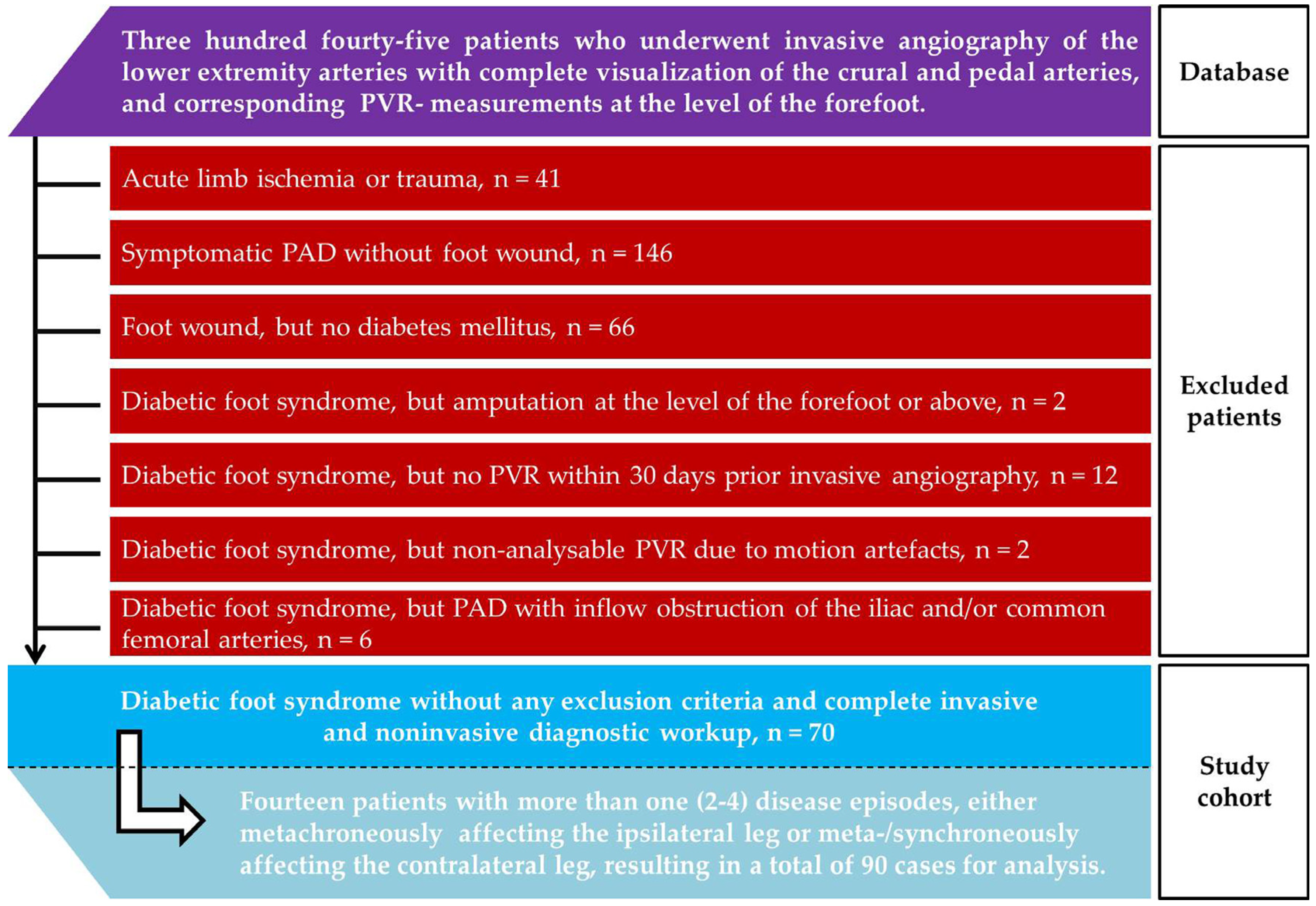 Biomedicines 13 01281 g001